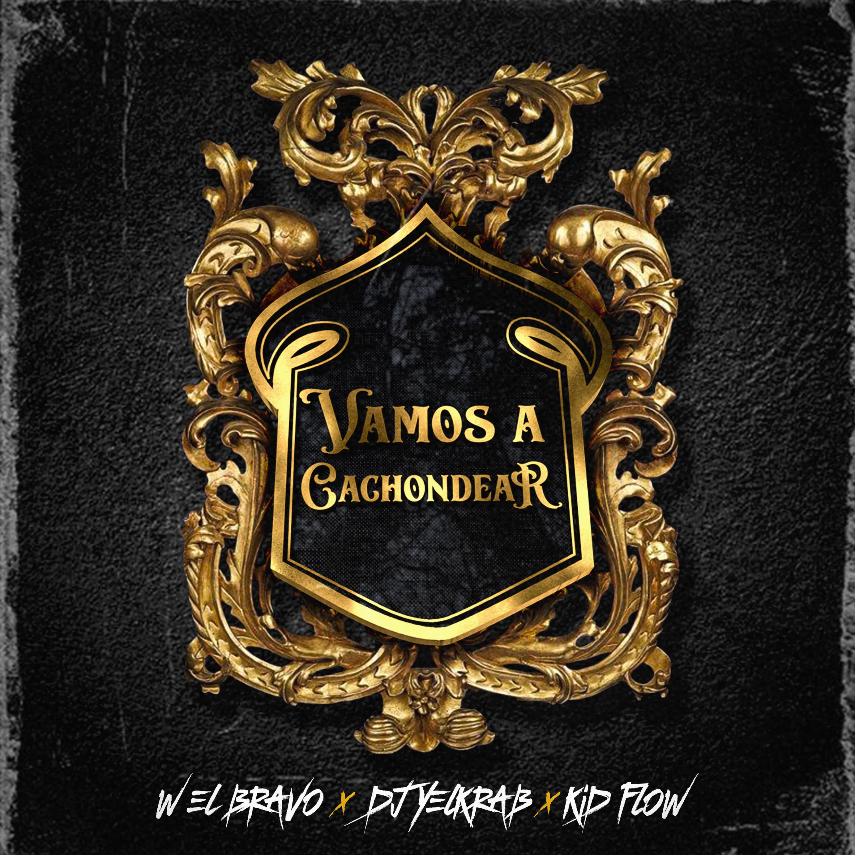 Релиз Vamos A Cachondear
