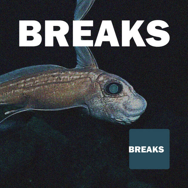 Релиз Breaks Best of 2017 - Collection Atmospheric & Vocal, Progressive Breaks