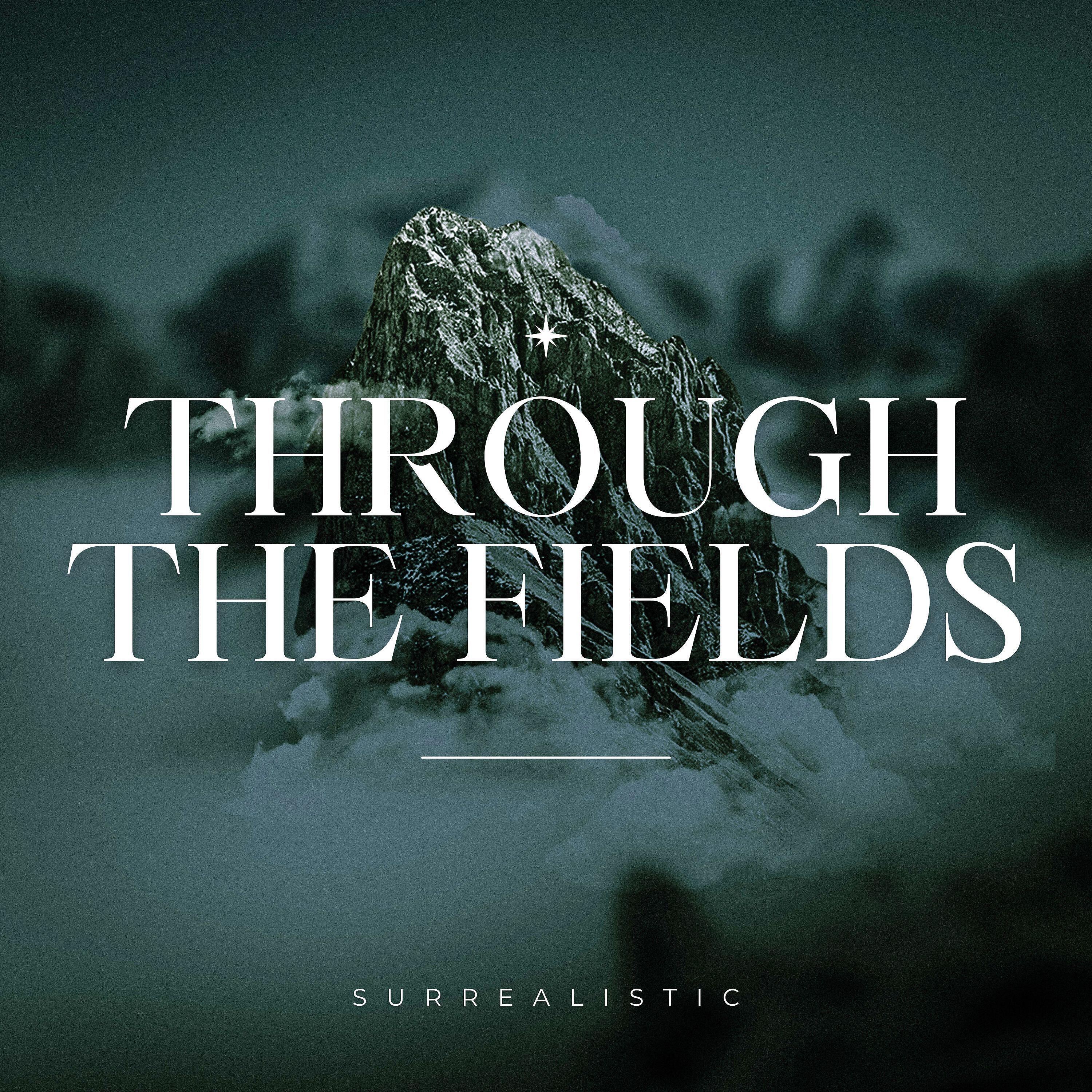 Релиз Through the Fields