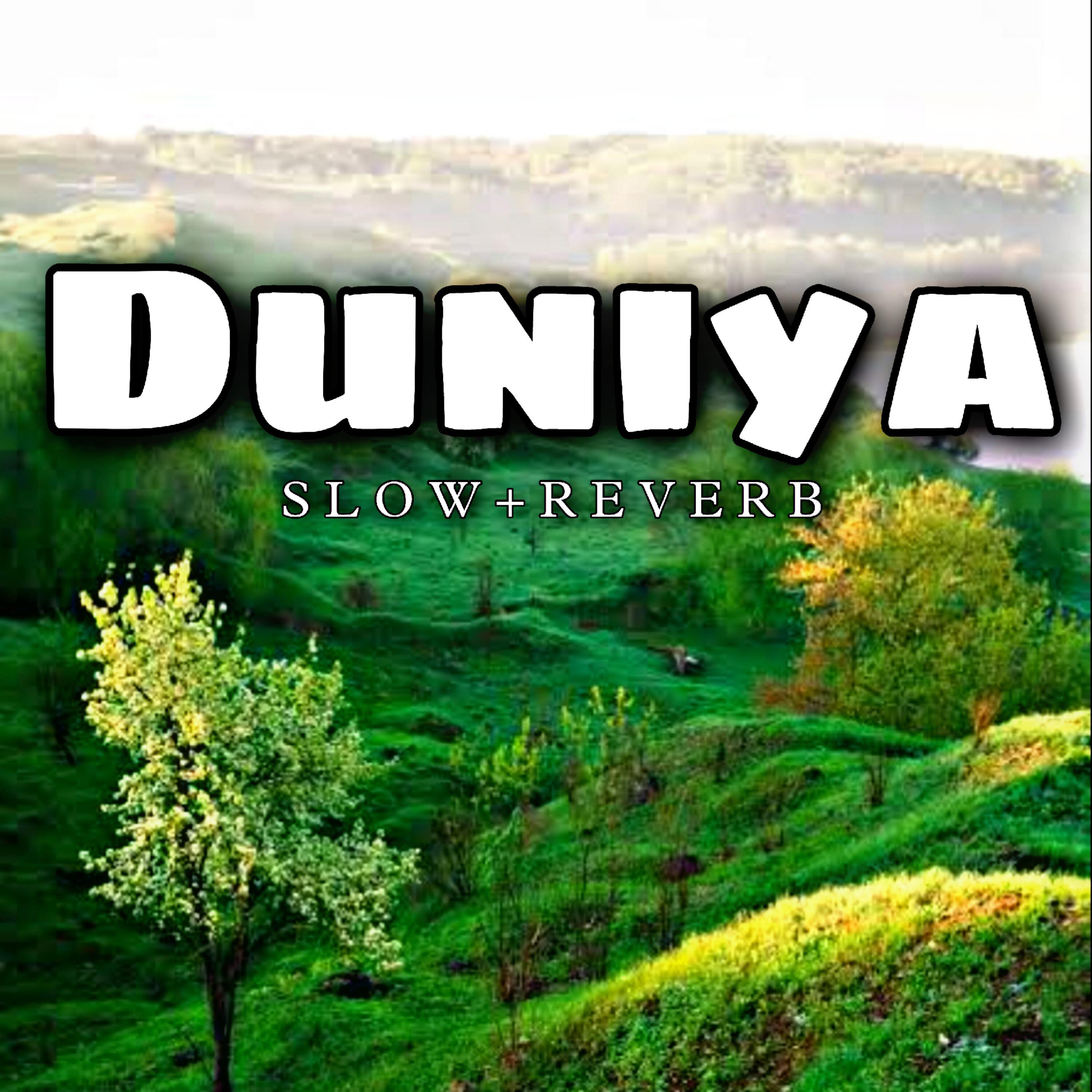 Релиз Duniya (Slow + Reverb)