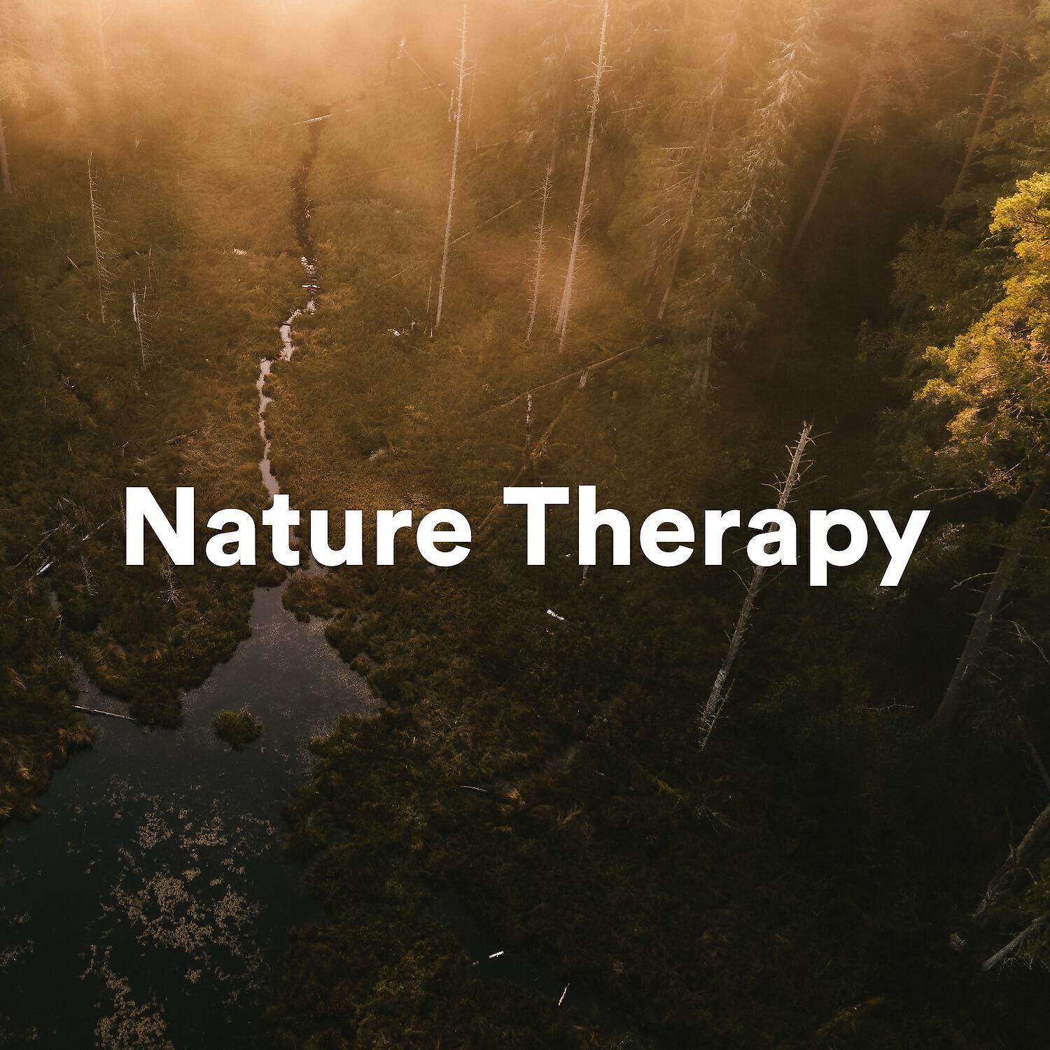 Relajación Natural Maestro