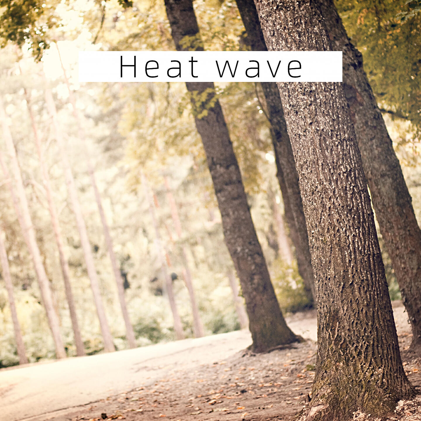 Релиз Heat wave