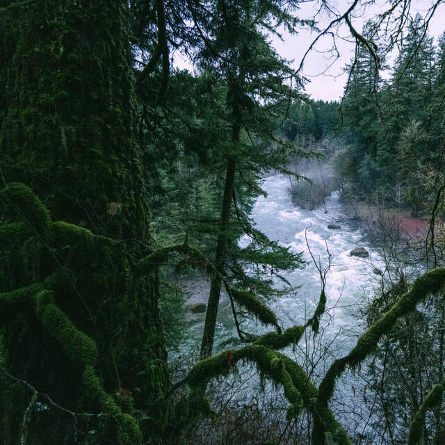 Dzö-nga