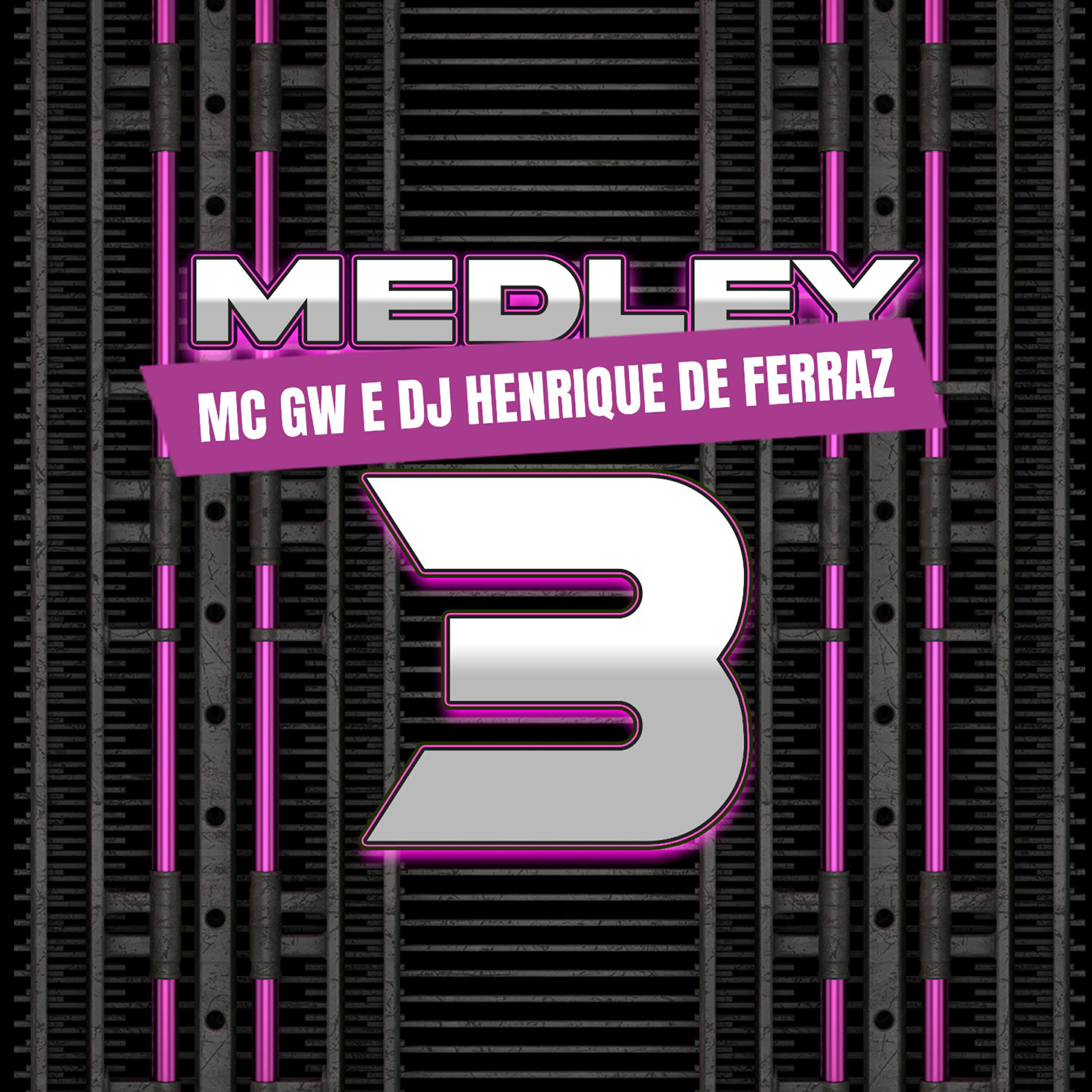 Скачать песню Dj Henrique de Ferraz, Mc GW - Medley Fortemente 3 бесплатно в MP3 для Android и iOS