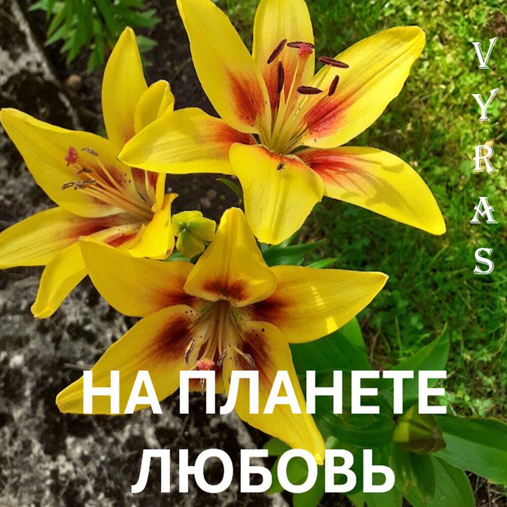 Релиз На планете Любовь