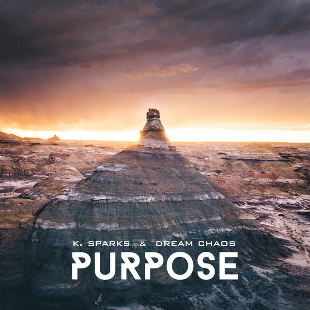 Релиз Purpose (Instrumental)
