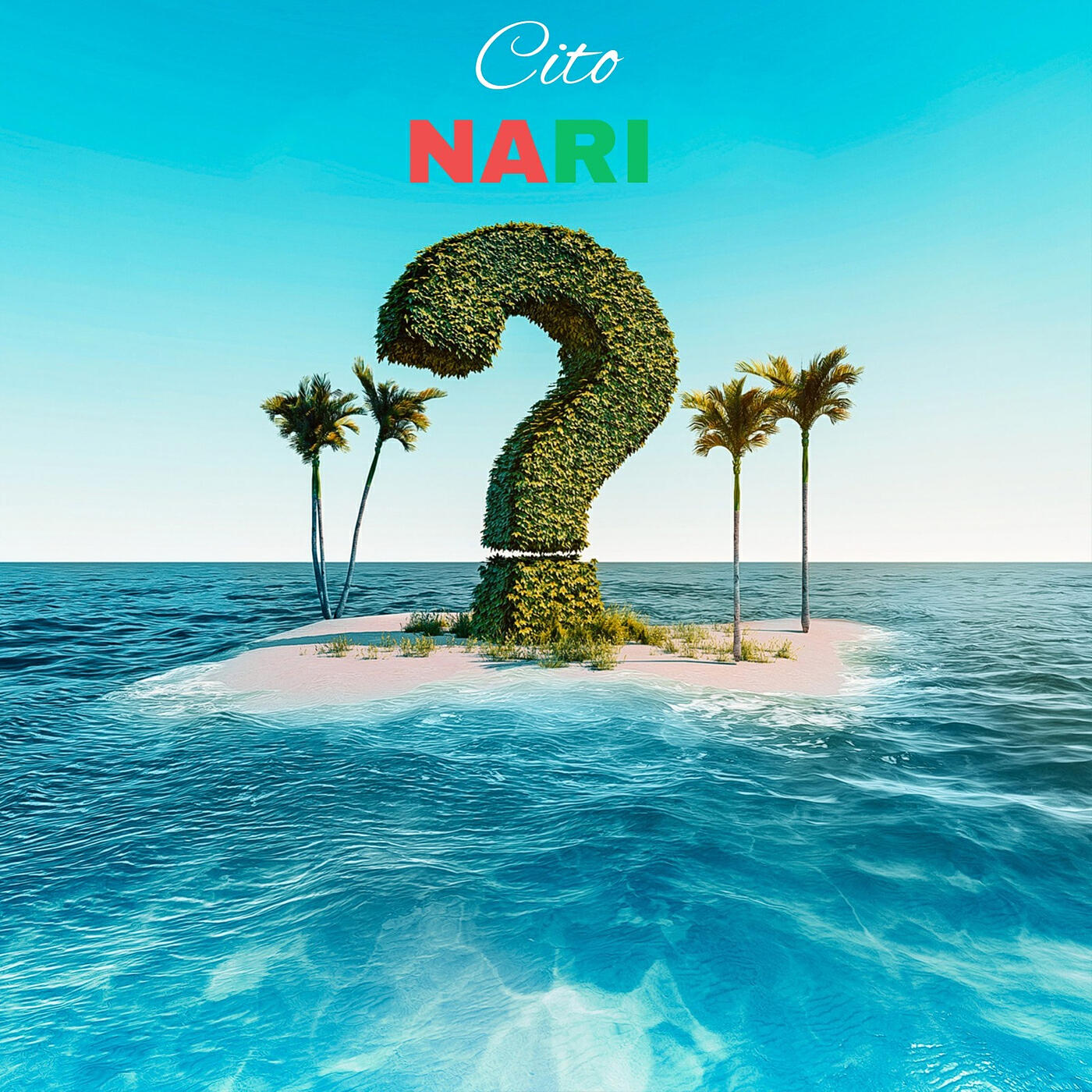 Релиз Nari