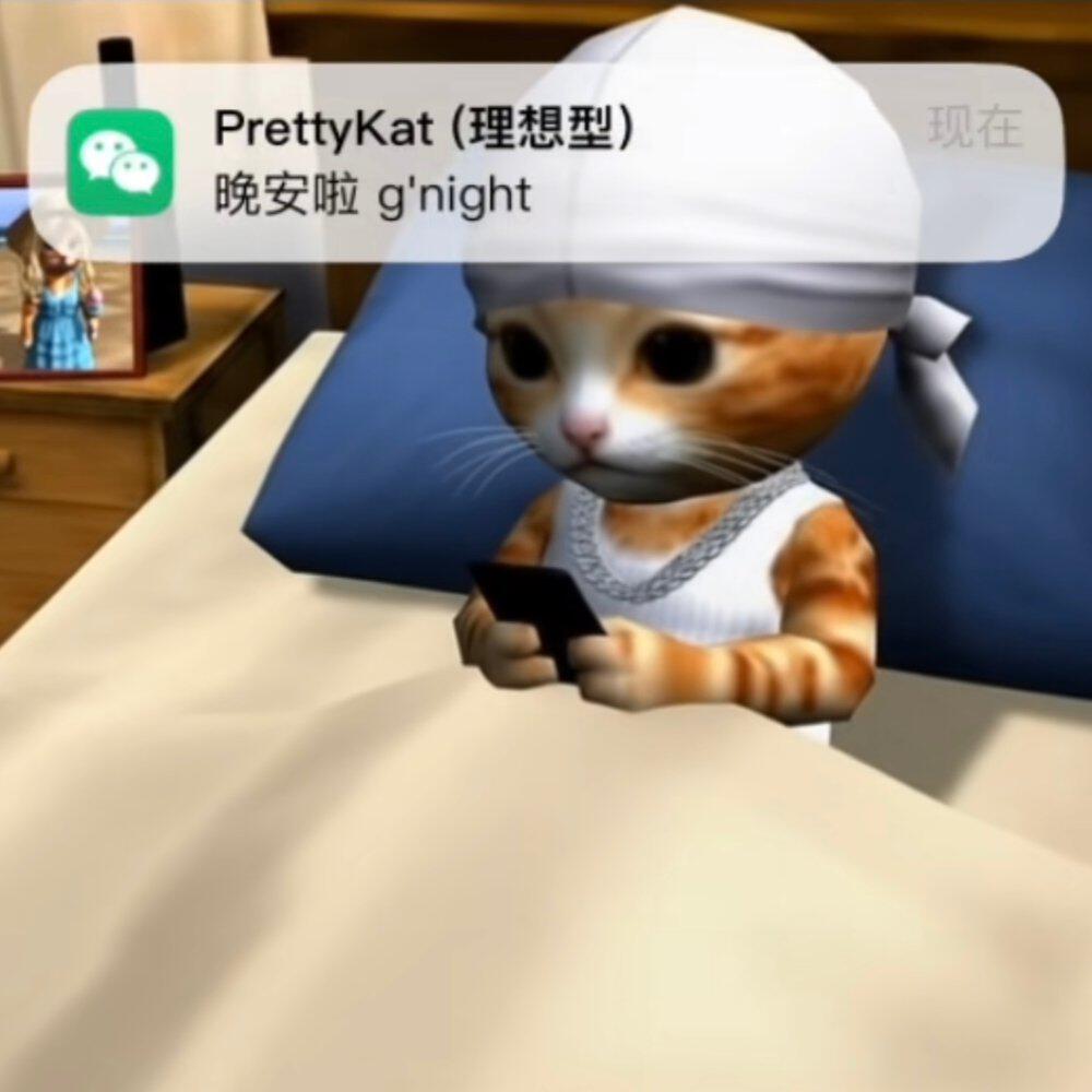 Релиз 規則