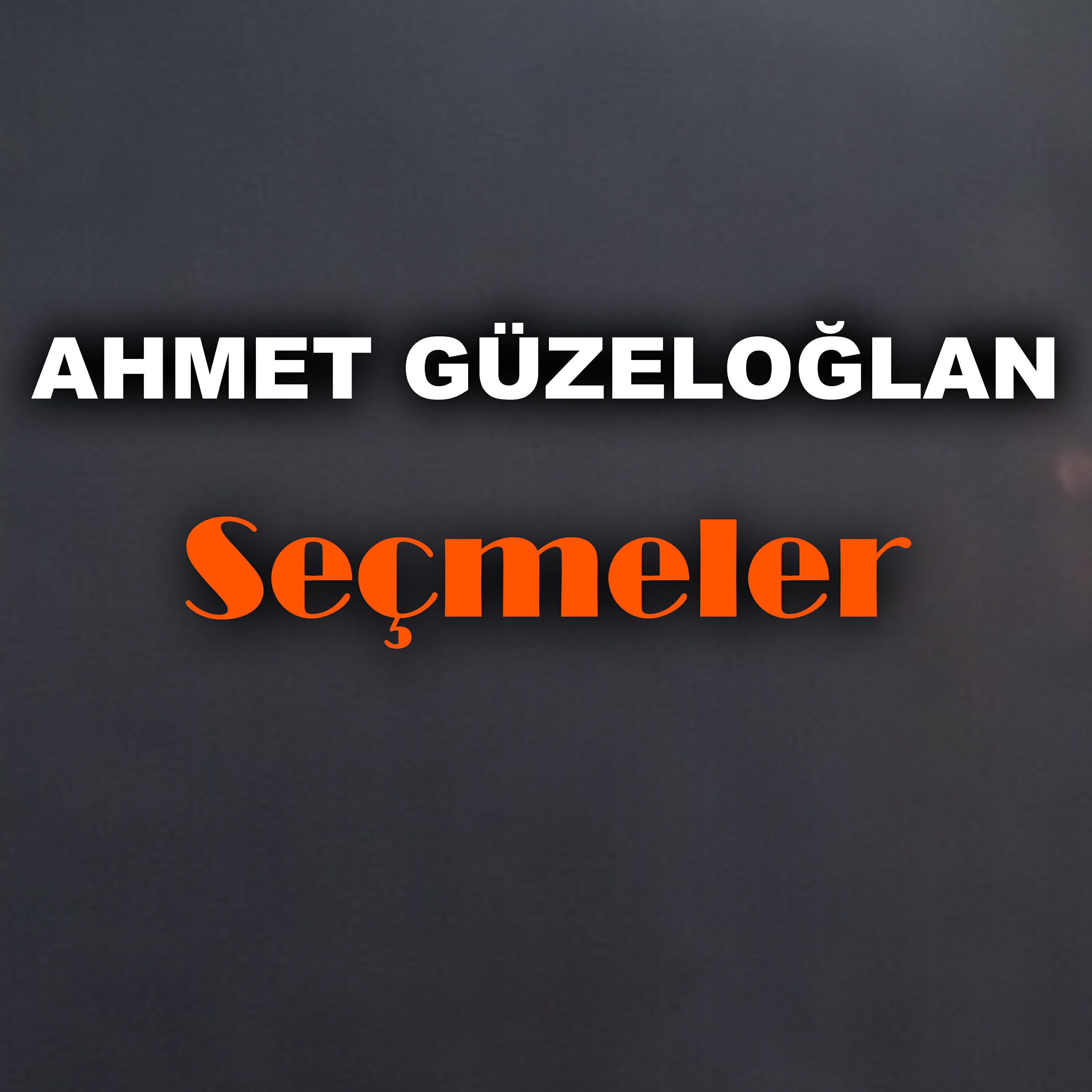 Ahmet Güzeloğlan