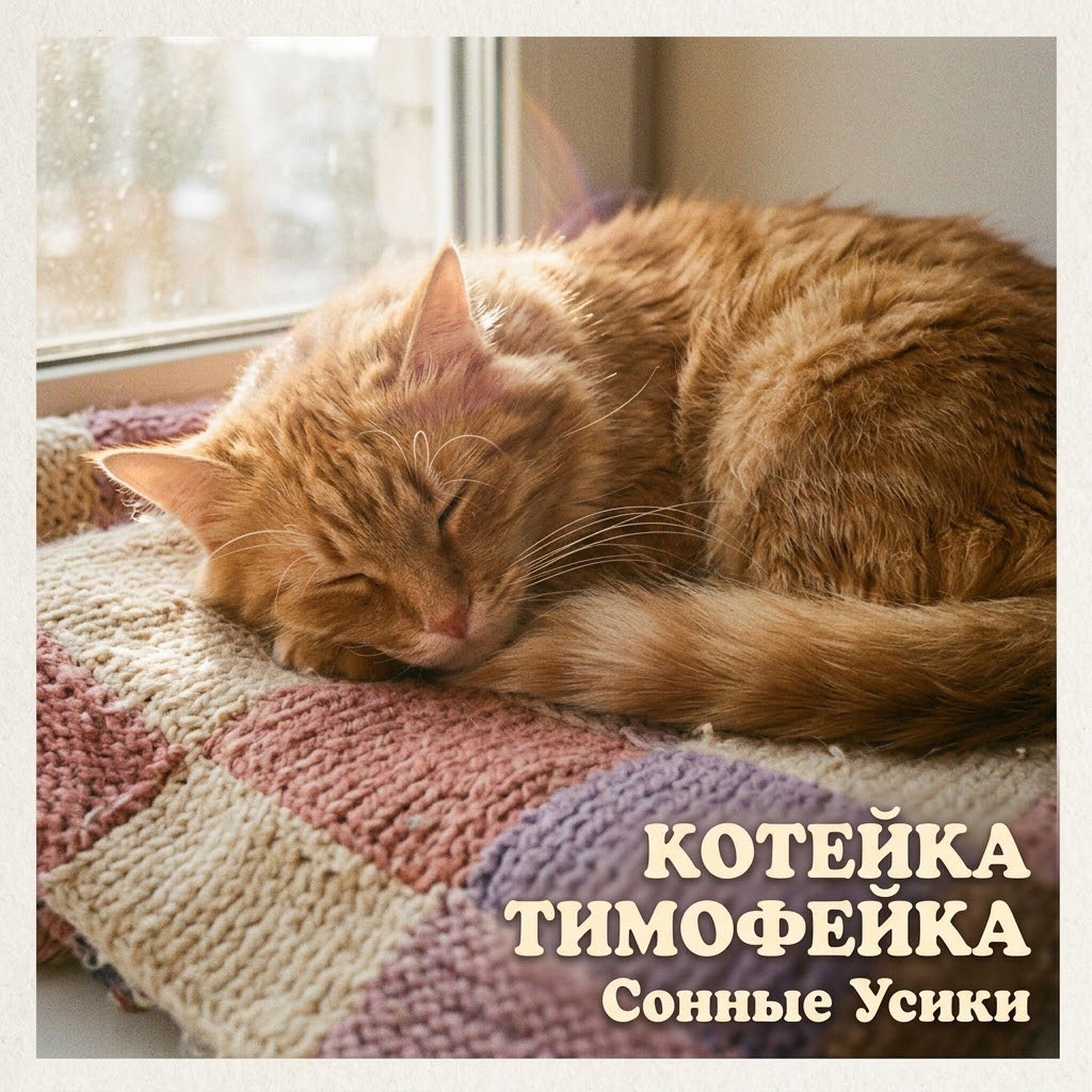 Релиз Сонные Усики