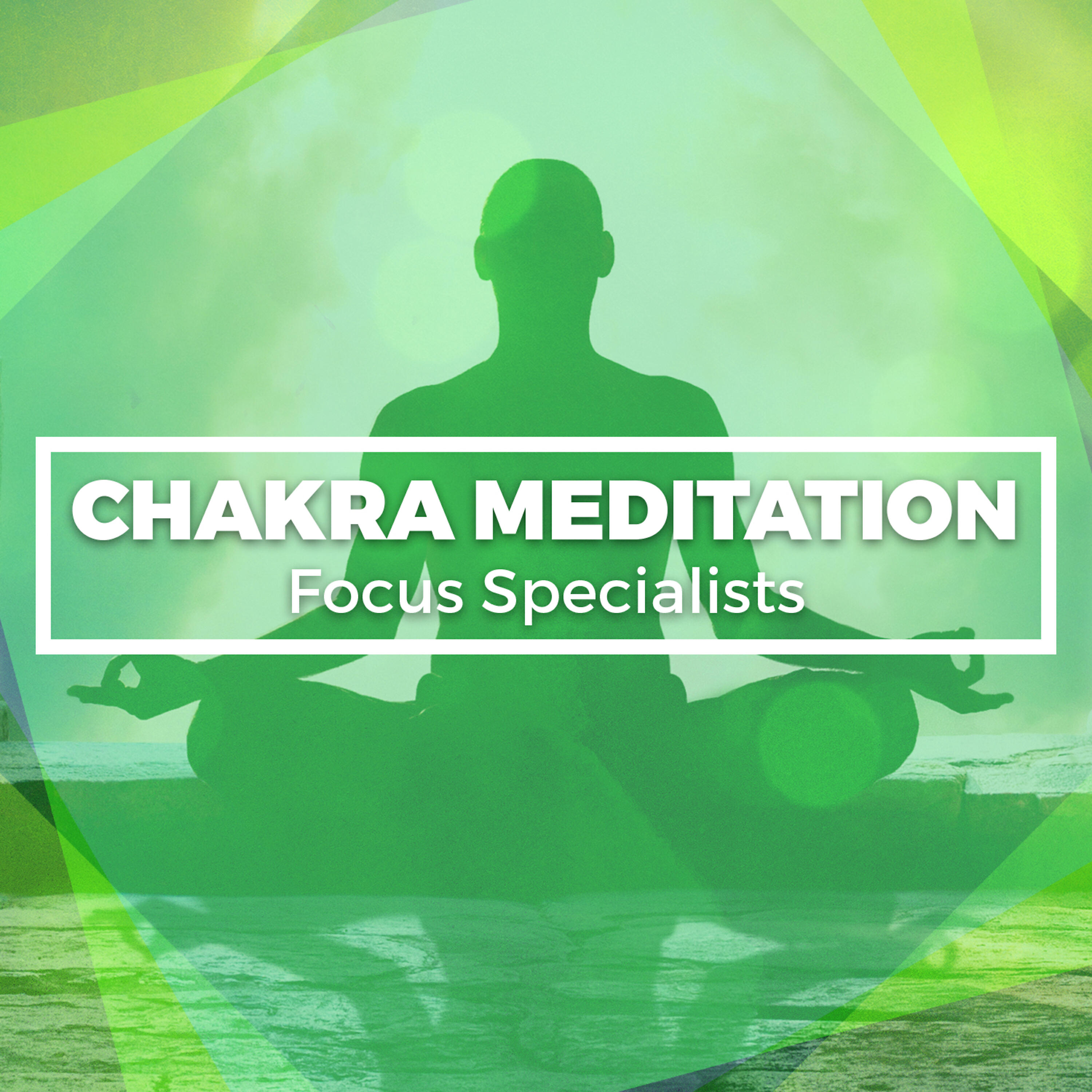 Релиз Chakra Meditation Focus Specialists