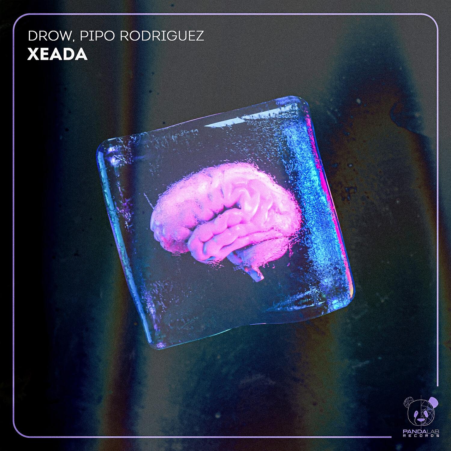 Релиз Xeada