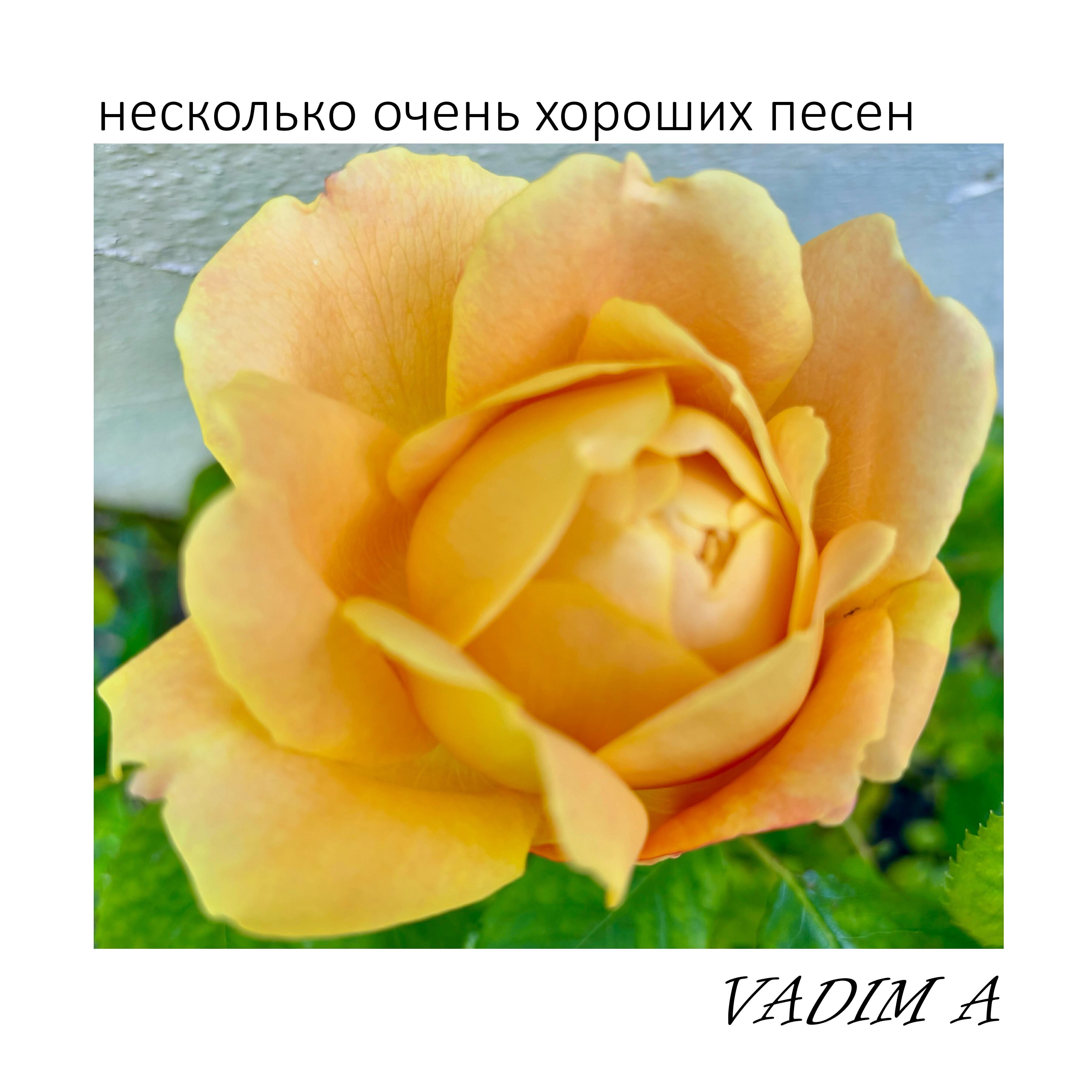 Релиз Несколько очень хороших песен