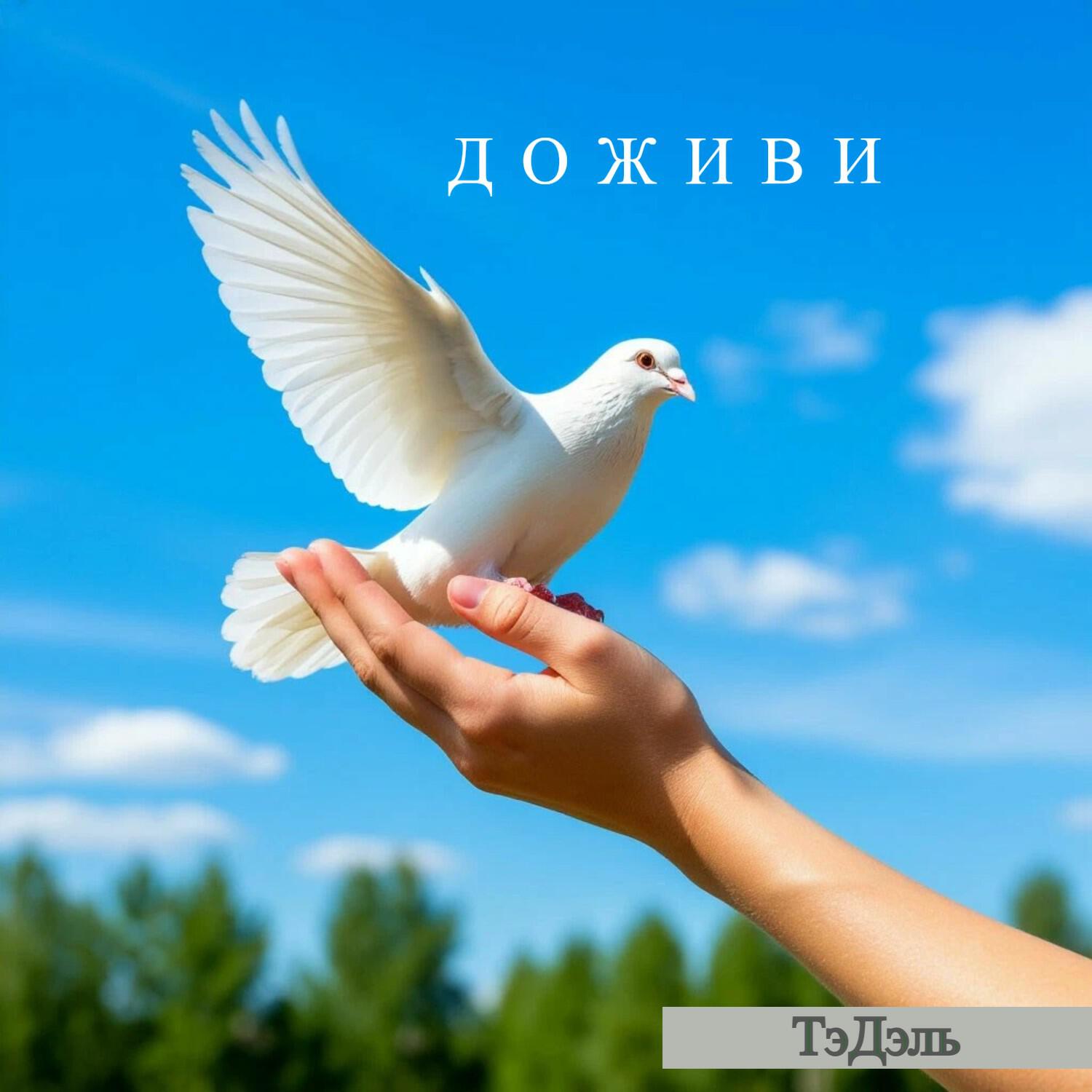 Релиз Доживи
