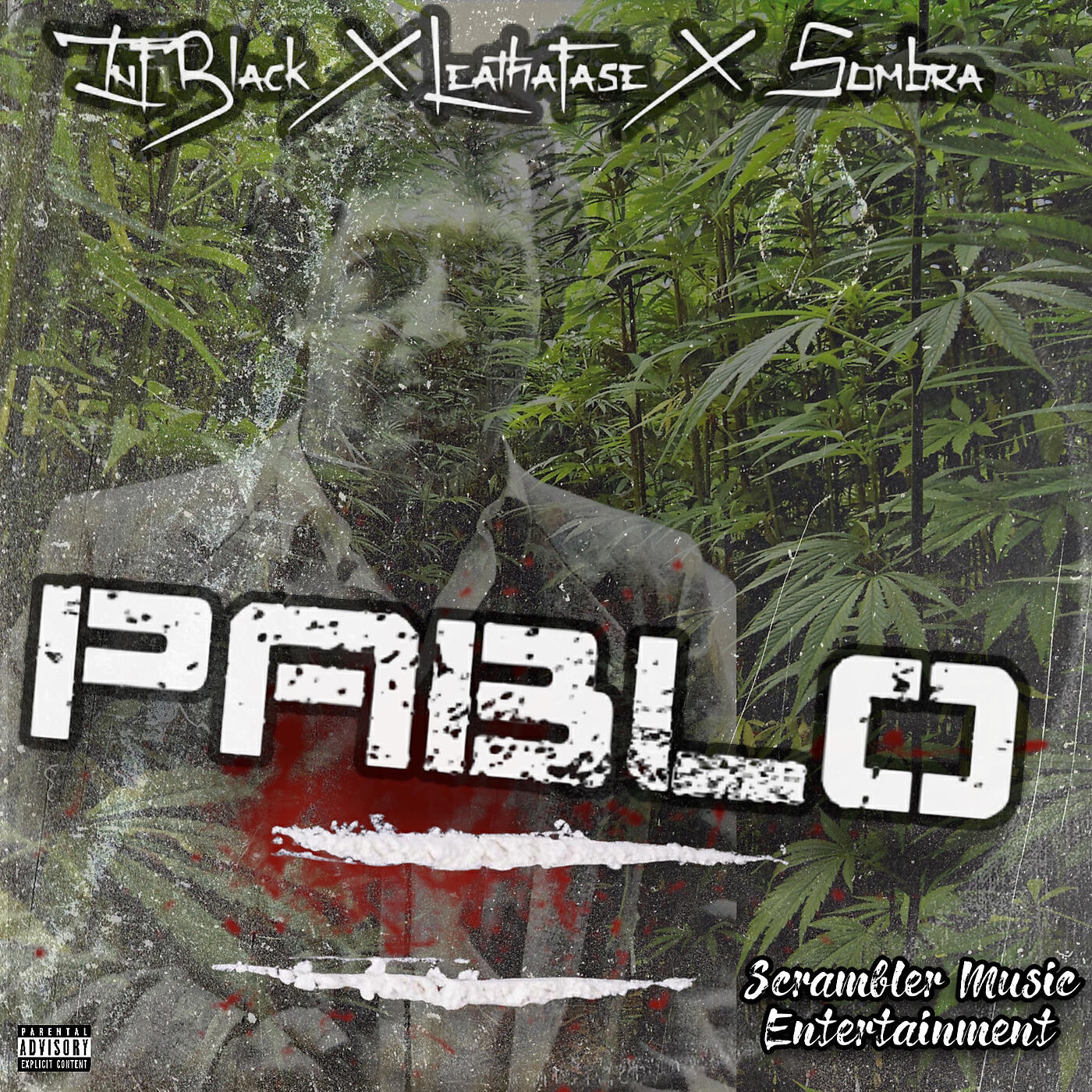 Релиз Pablo