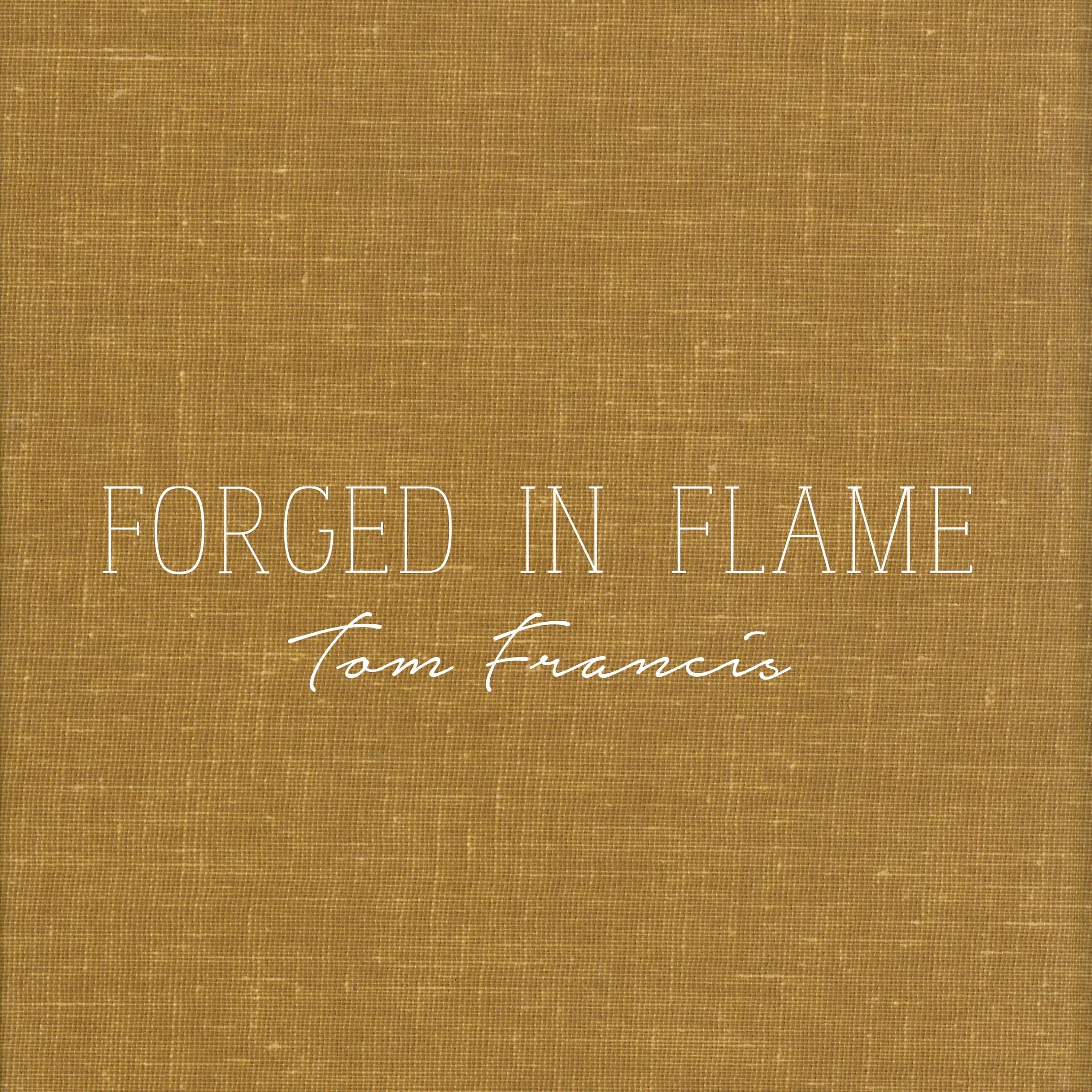 Релиз Forged in flame