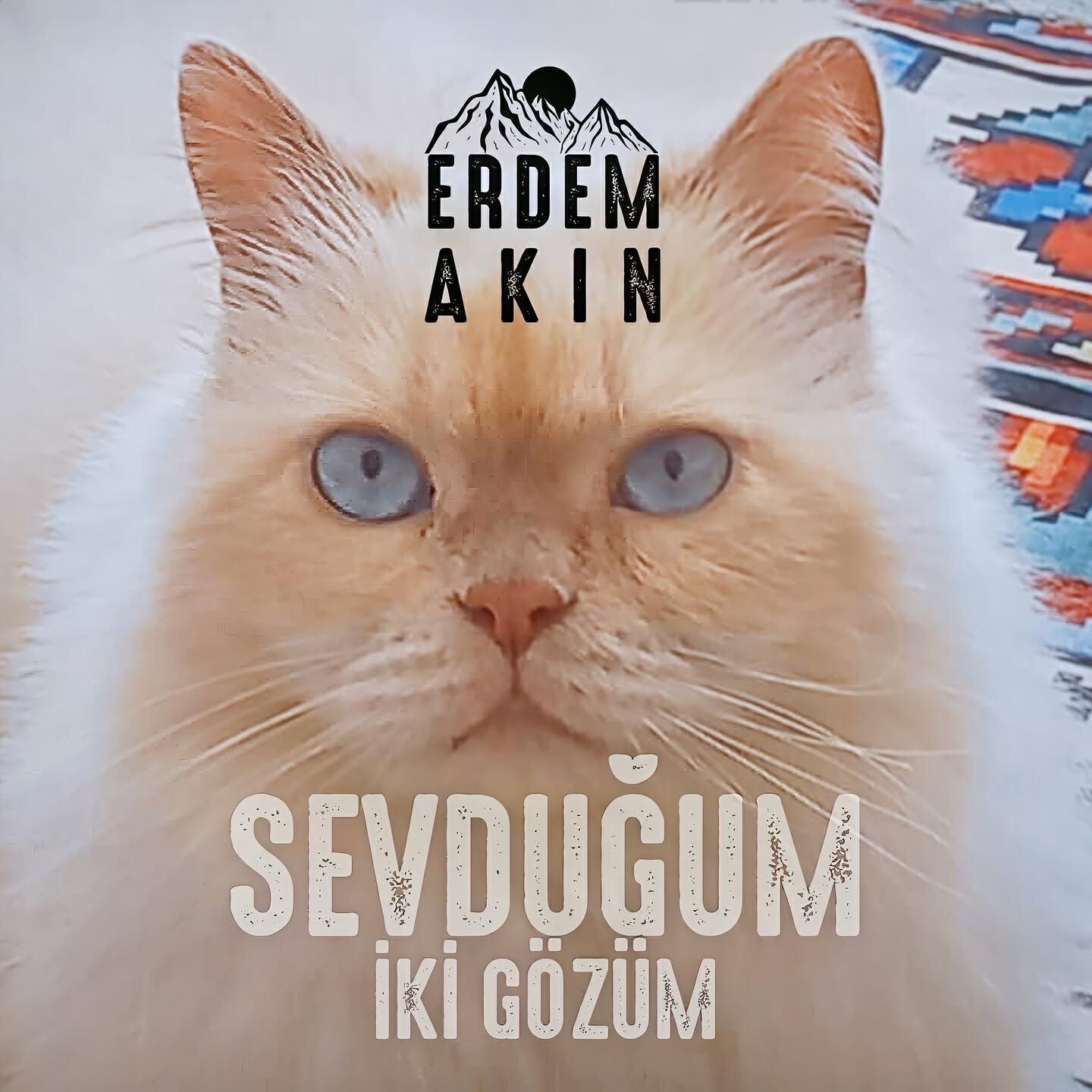 Релиз Sevduğum İki Gözüm