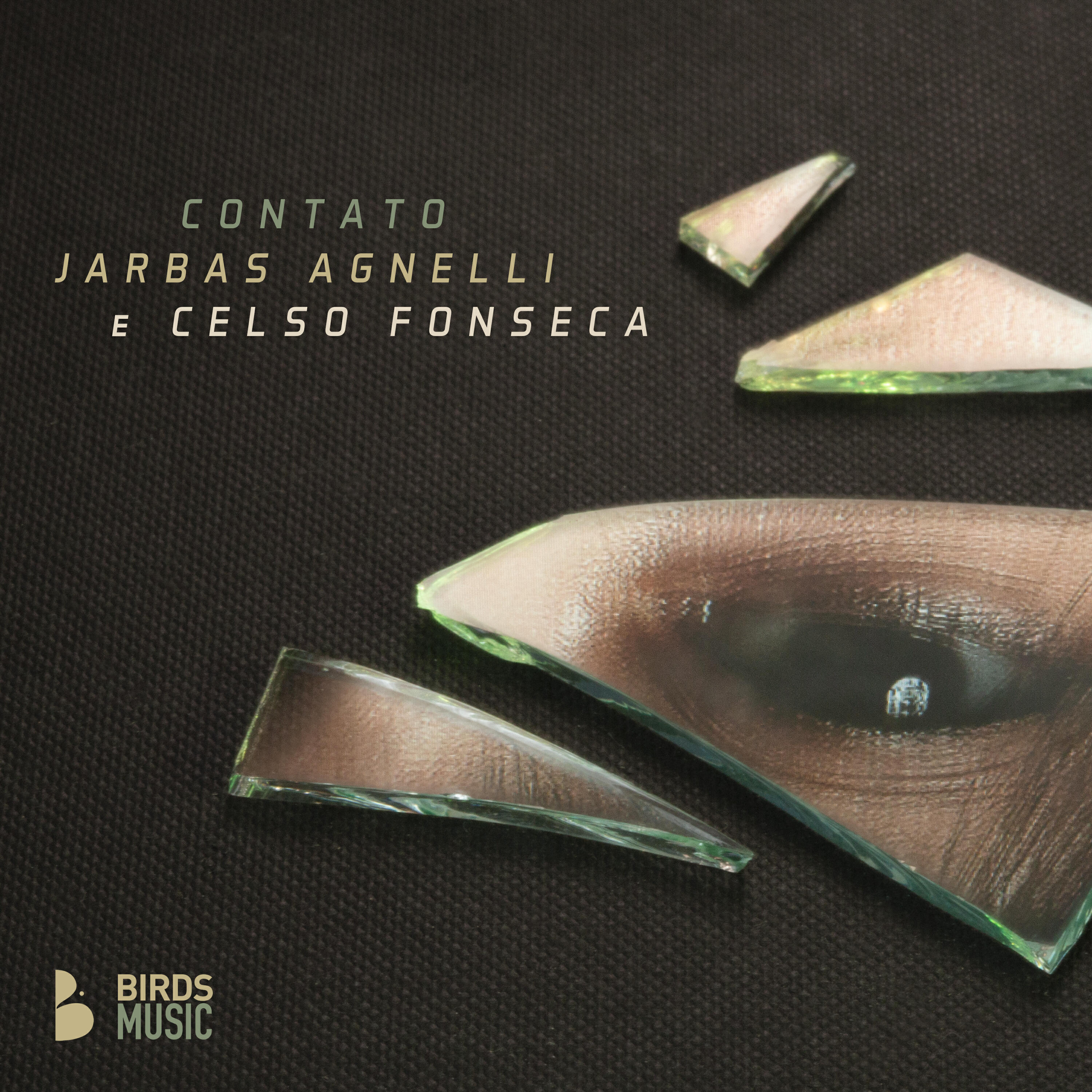 Jarbas Agnelli