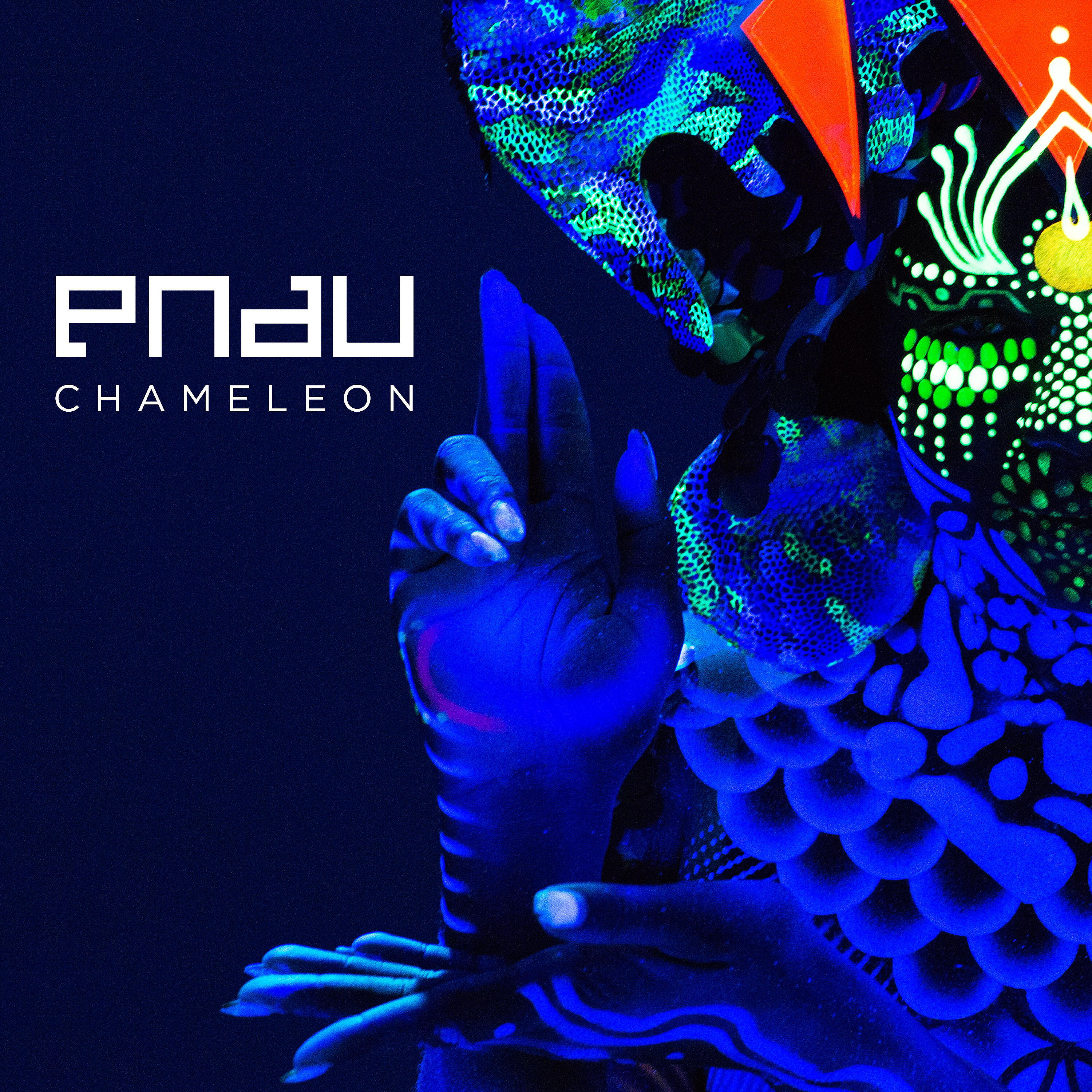 Постер альбома Chameleon