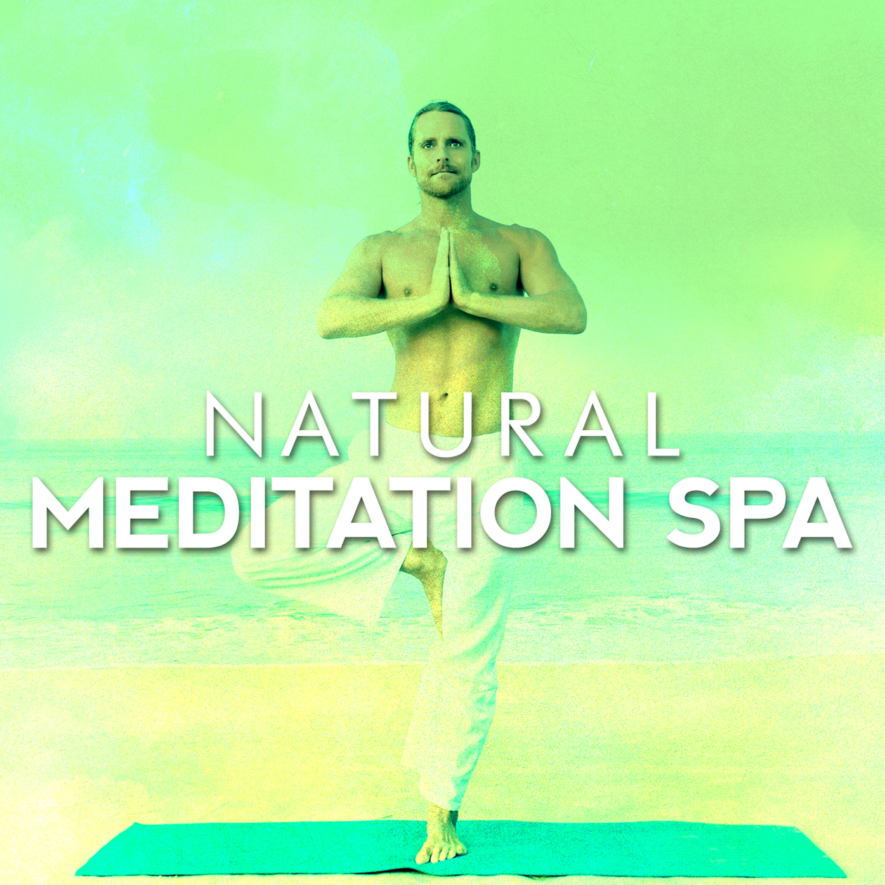 Постер альбома Natural Meditation Spa