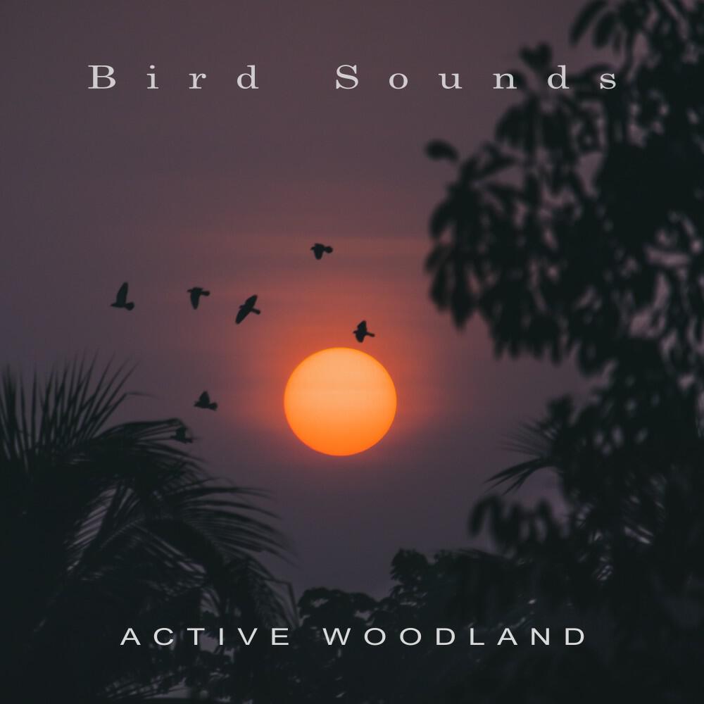 Трек Lovely Birds
