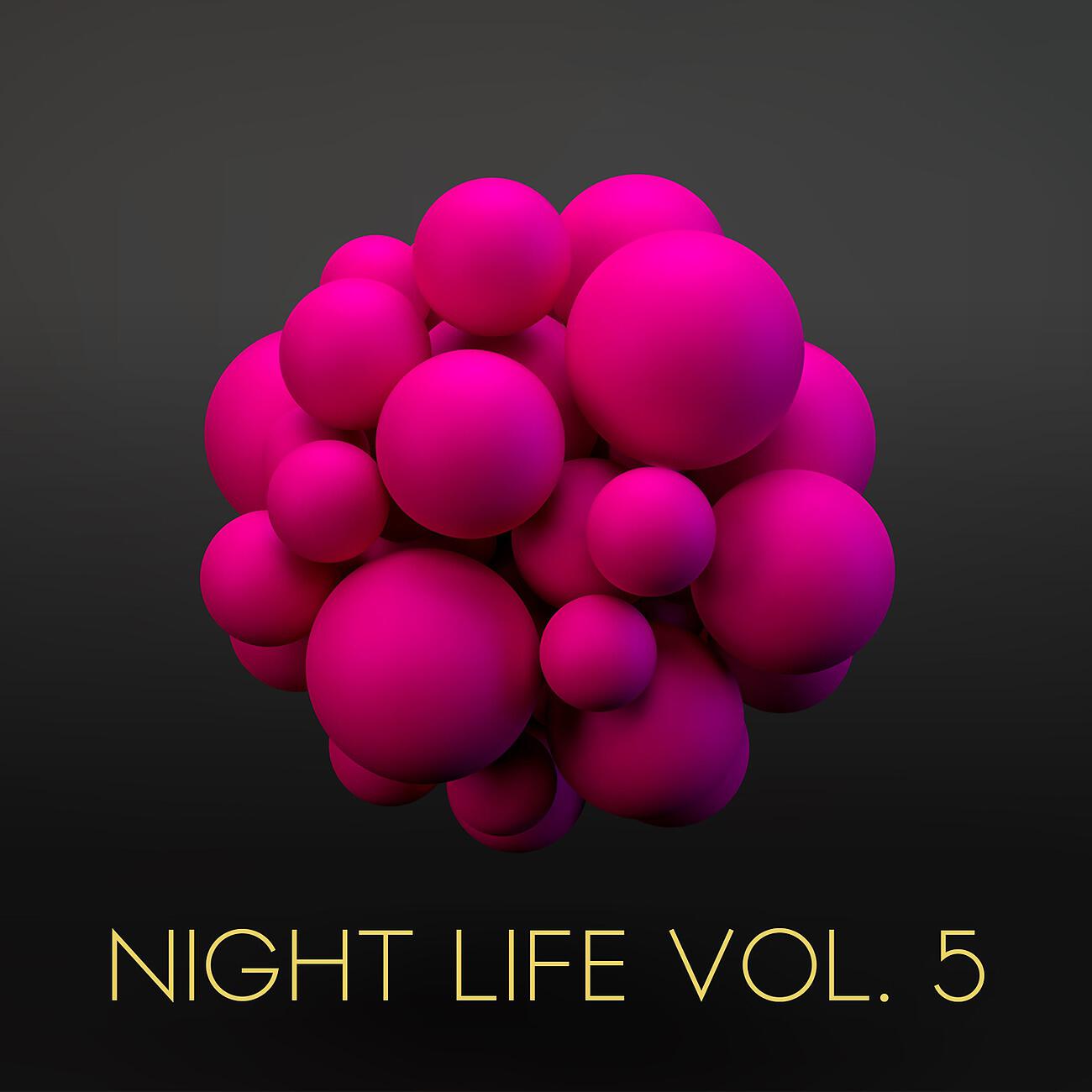 Релиз Night Life, Vol. 5