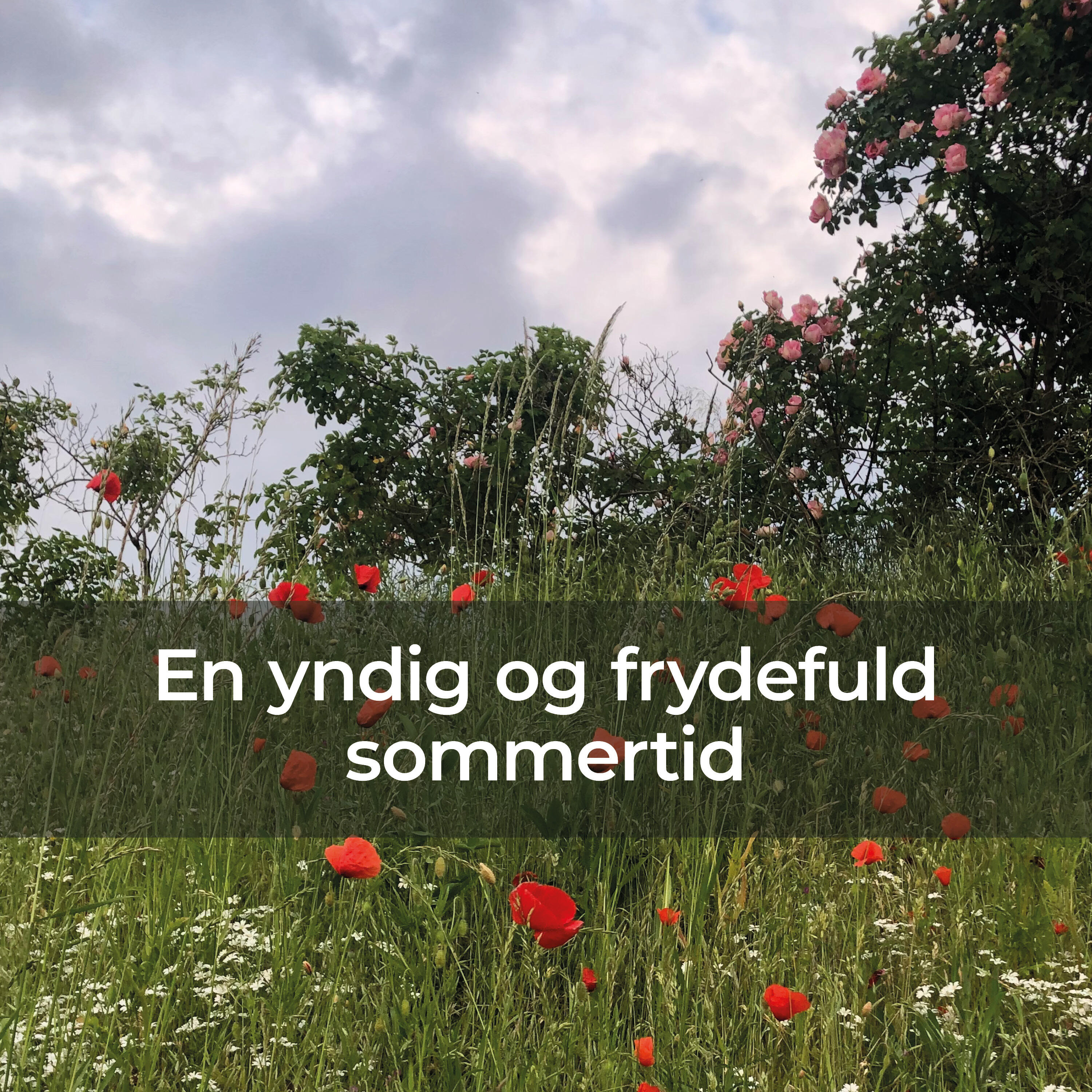 Релиз En yndig og frydefuld sommertid