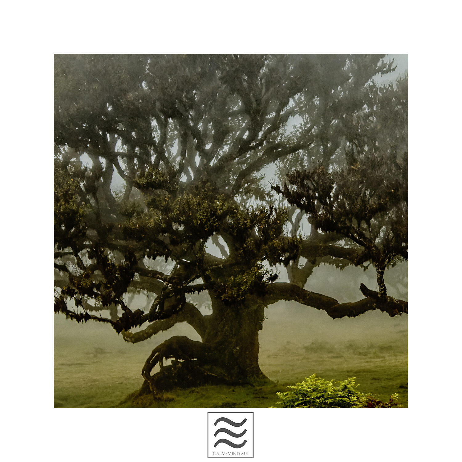 Restful Sounds of Calming Bowls