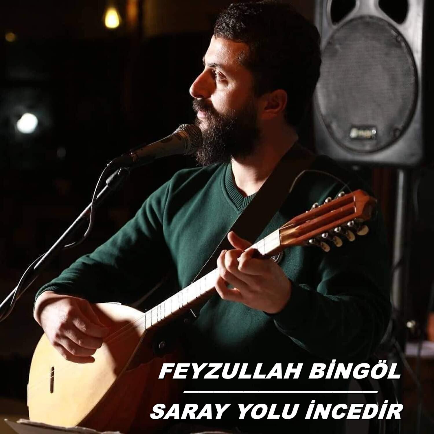 Релиз Saray Yolu İncedir
