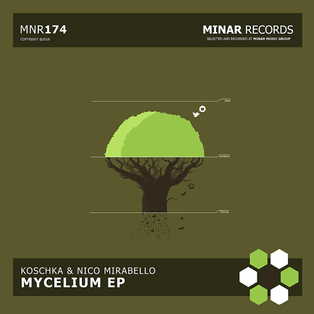 Релиз Mycelium EP