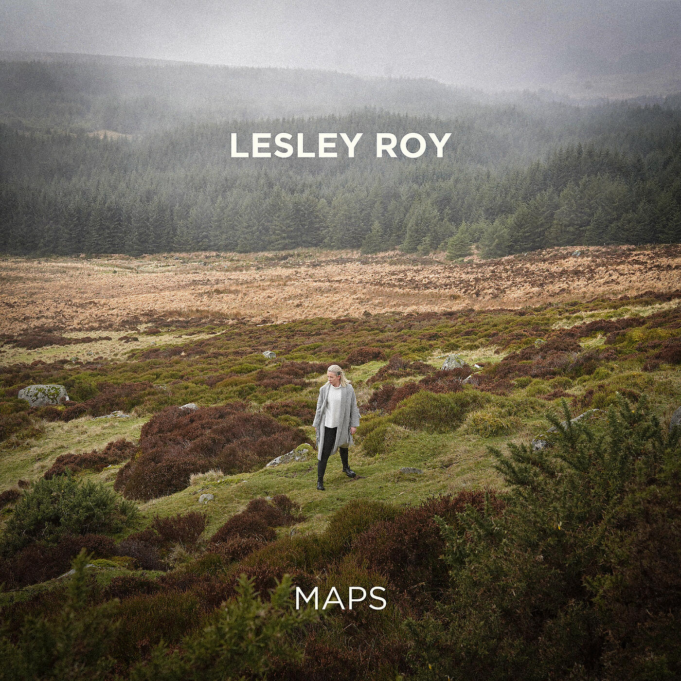 Релиз Maps