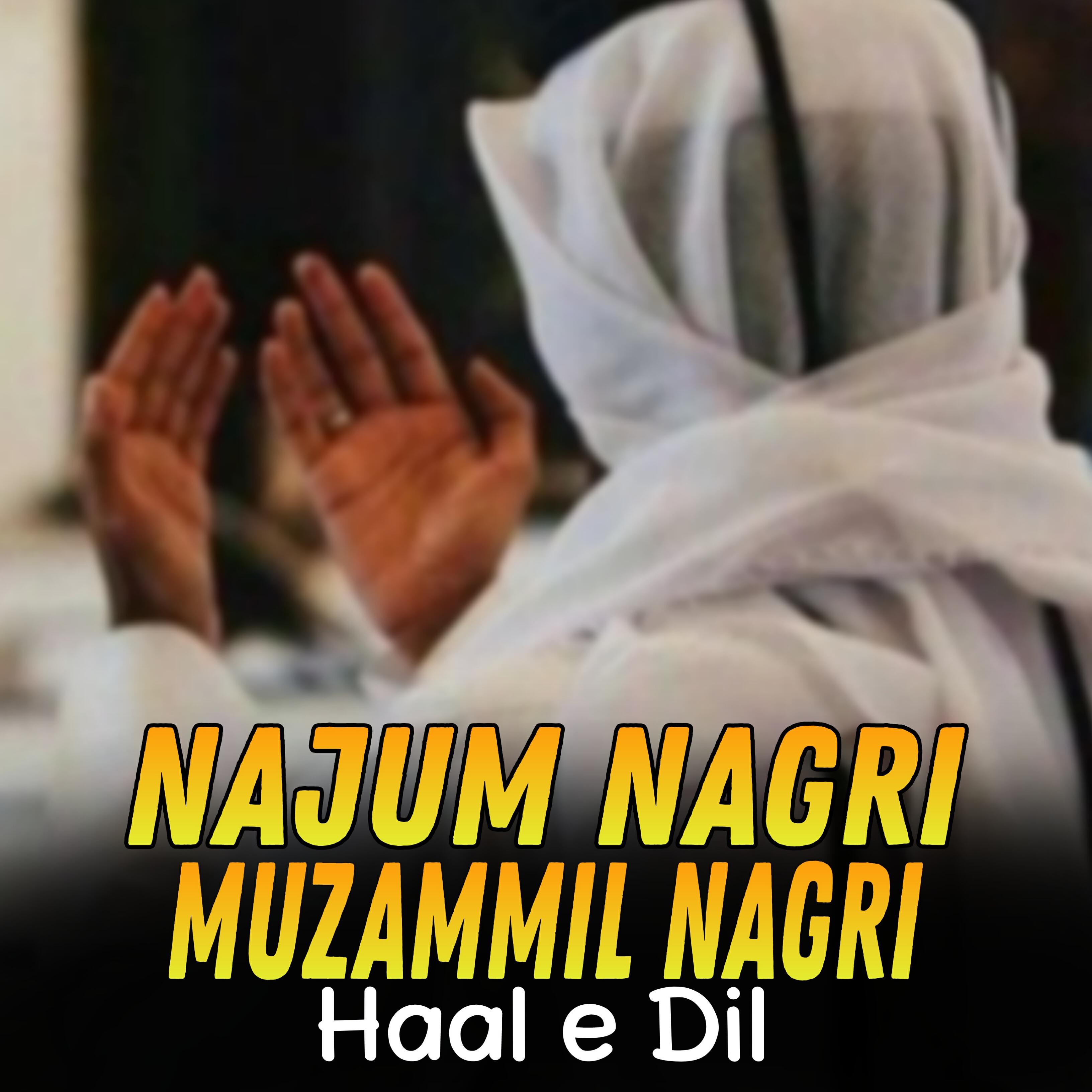 Релиз Haal e Dil