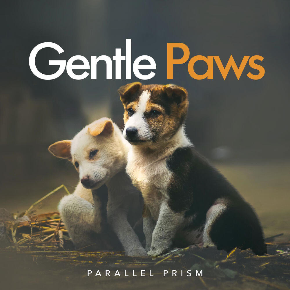 Релиз Calming Puppy Records