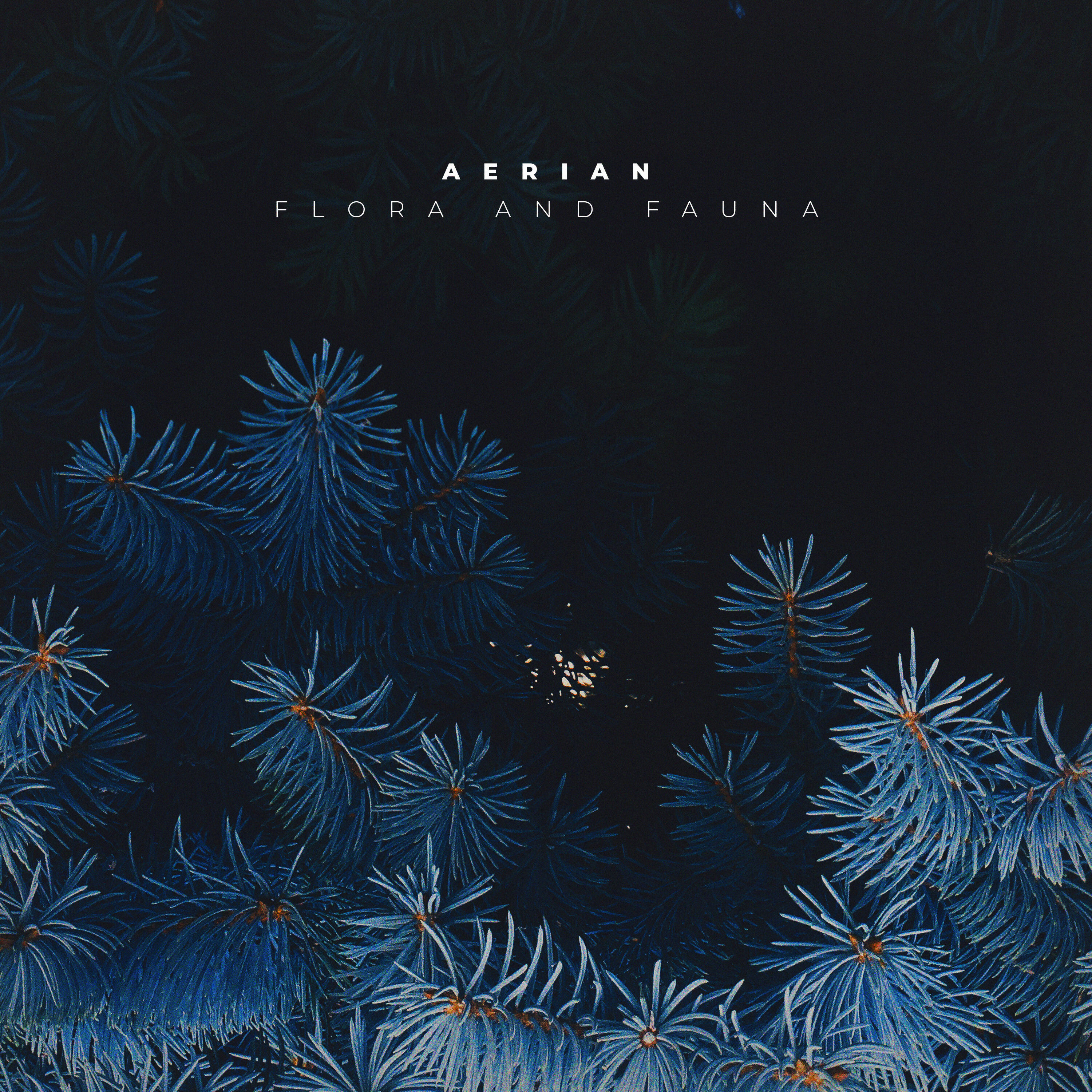 Релиз Flora and Fauna