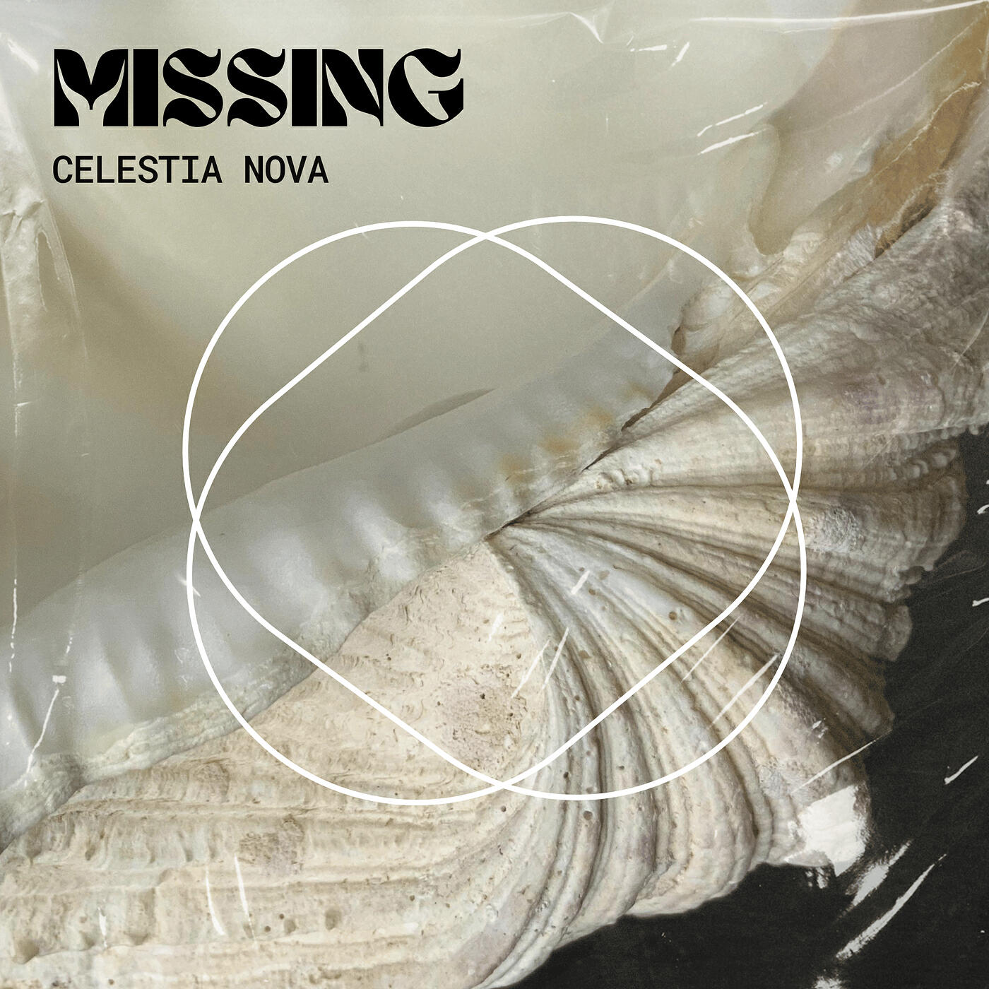 Релиз Missing