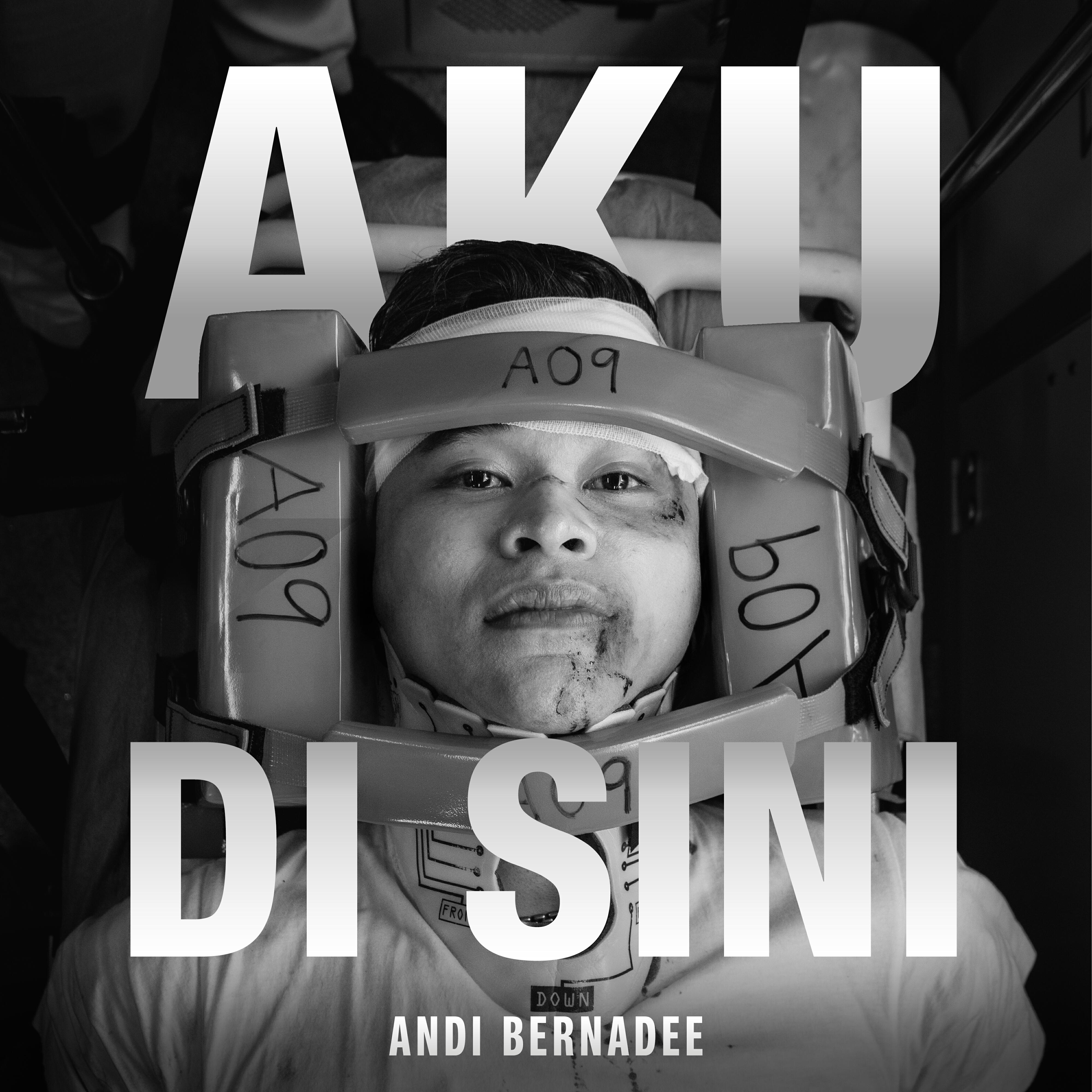 Andi Bernadee