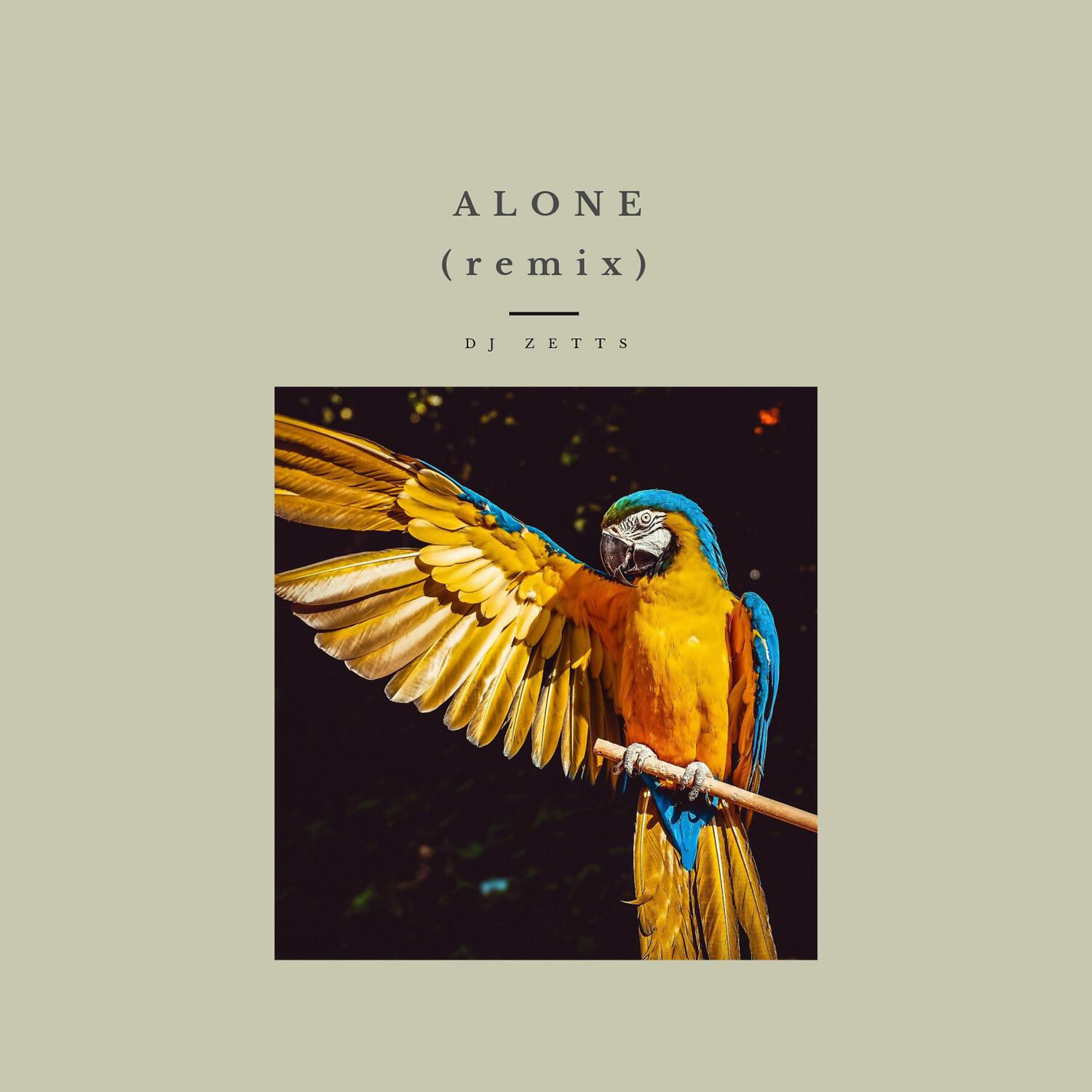 Релиз Alone