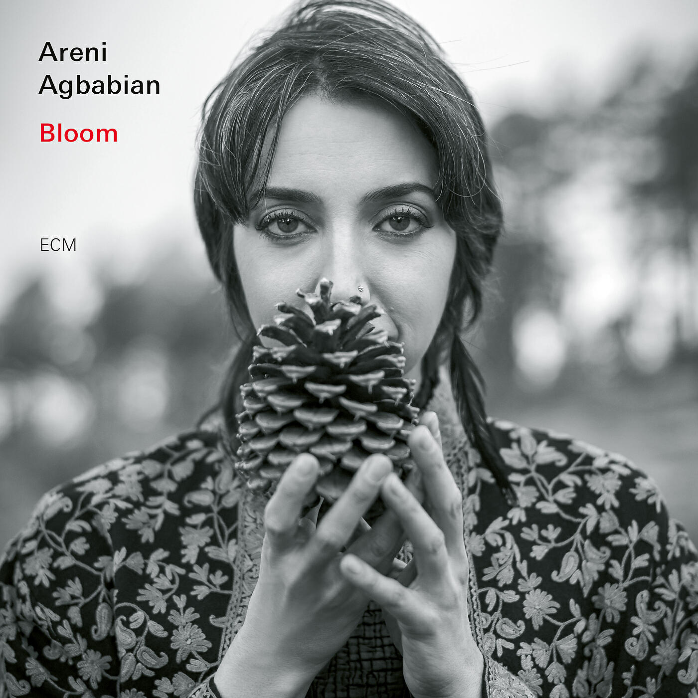 Постер альбома Petal Two