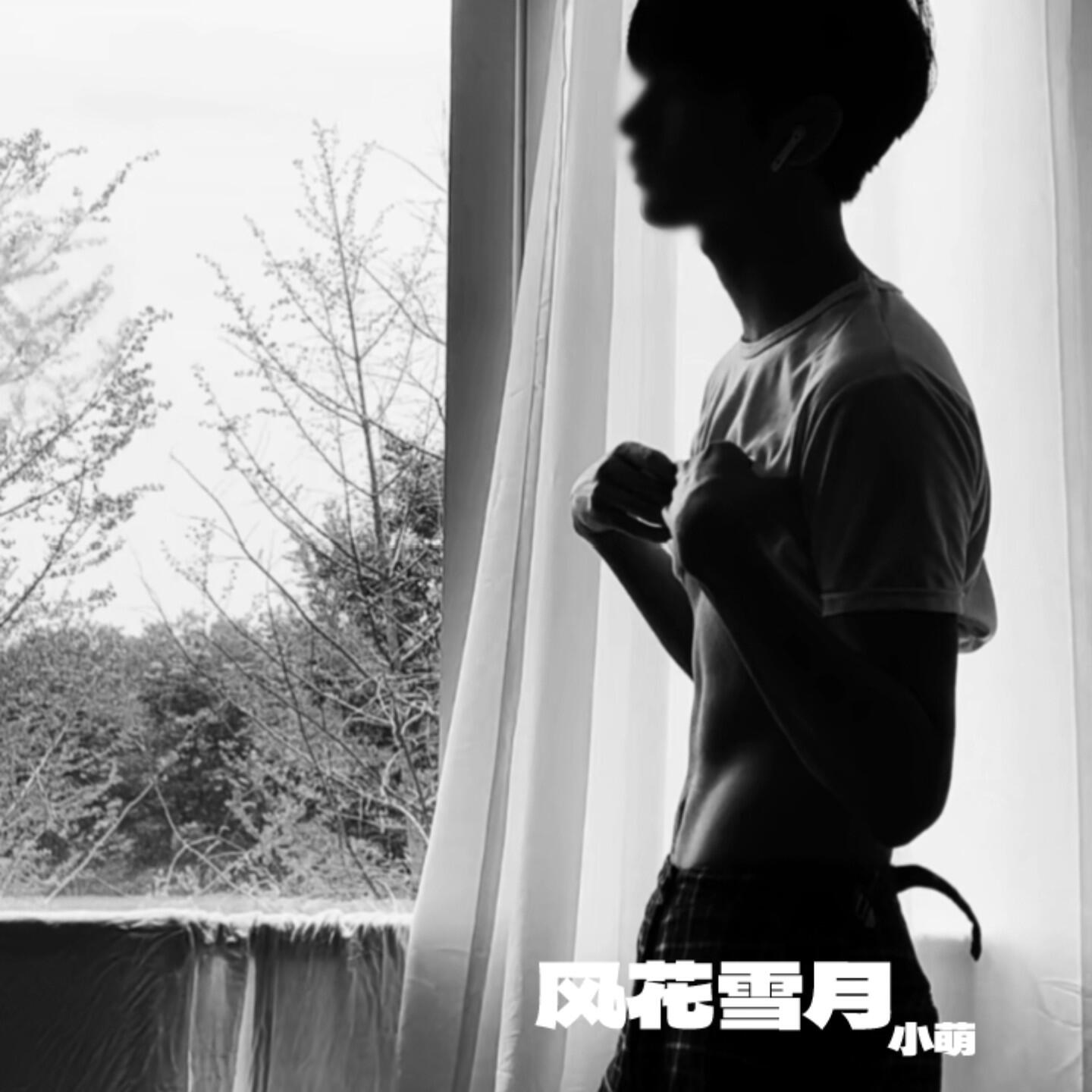 Релиз 风花雪月