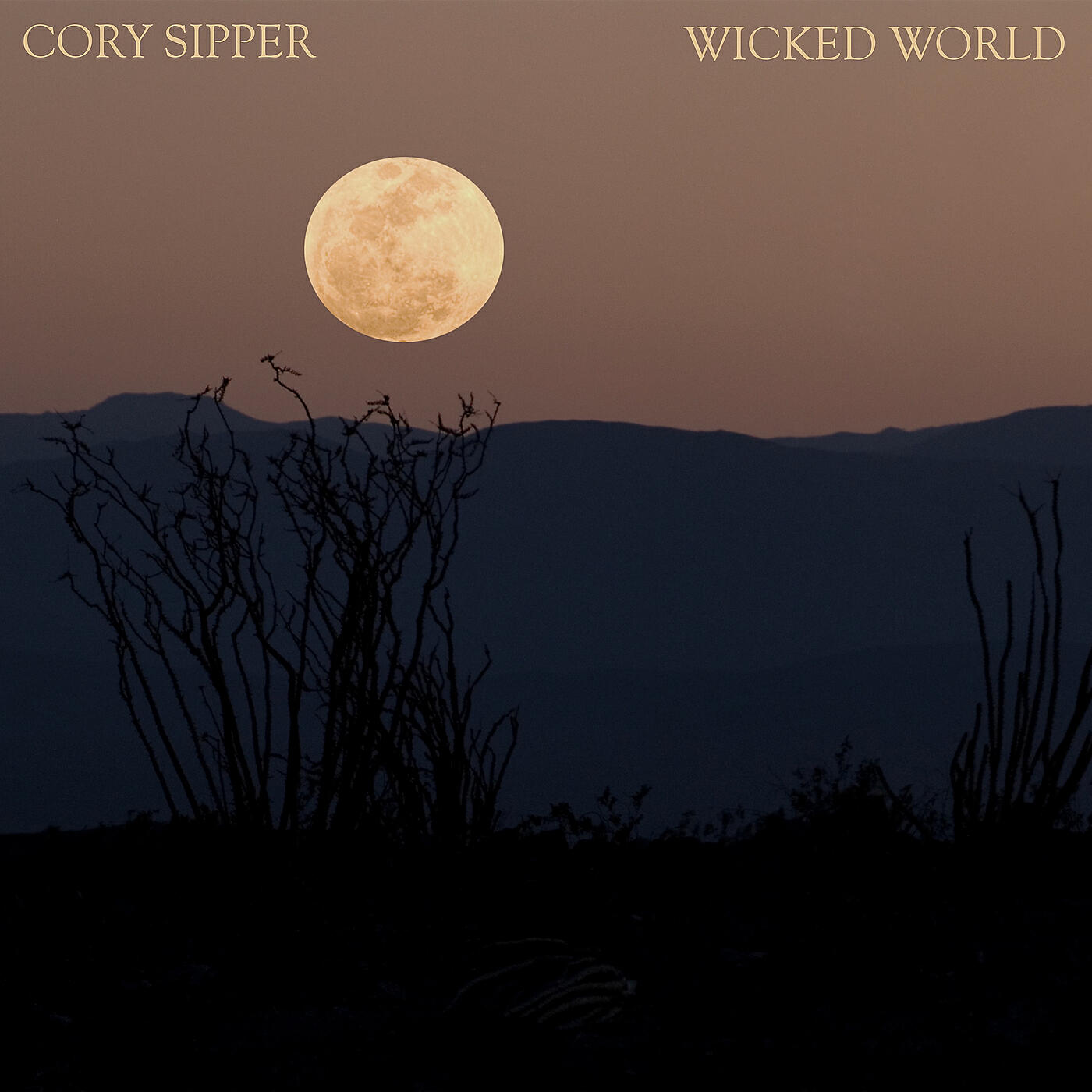 Релиз Wicked World