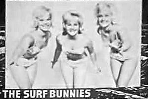The Surf Bunnies