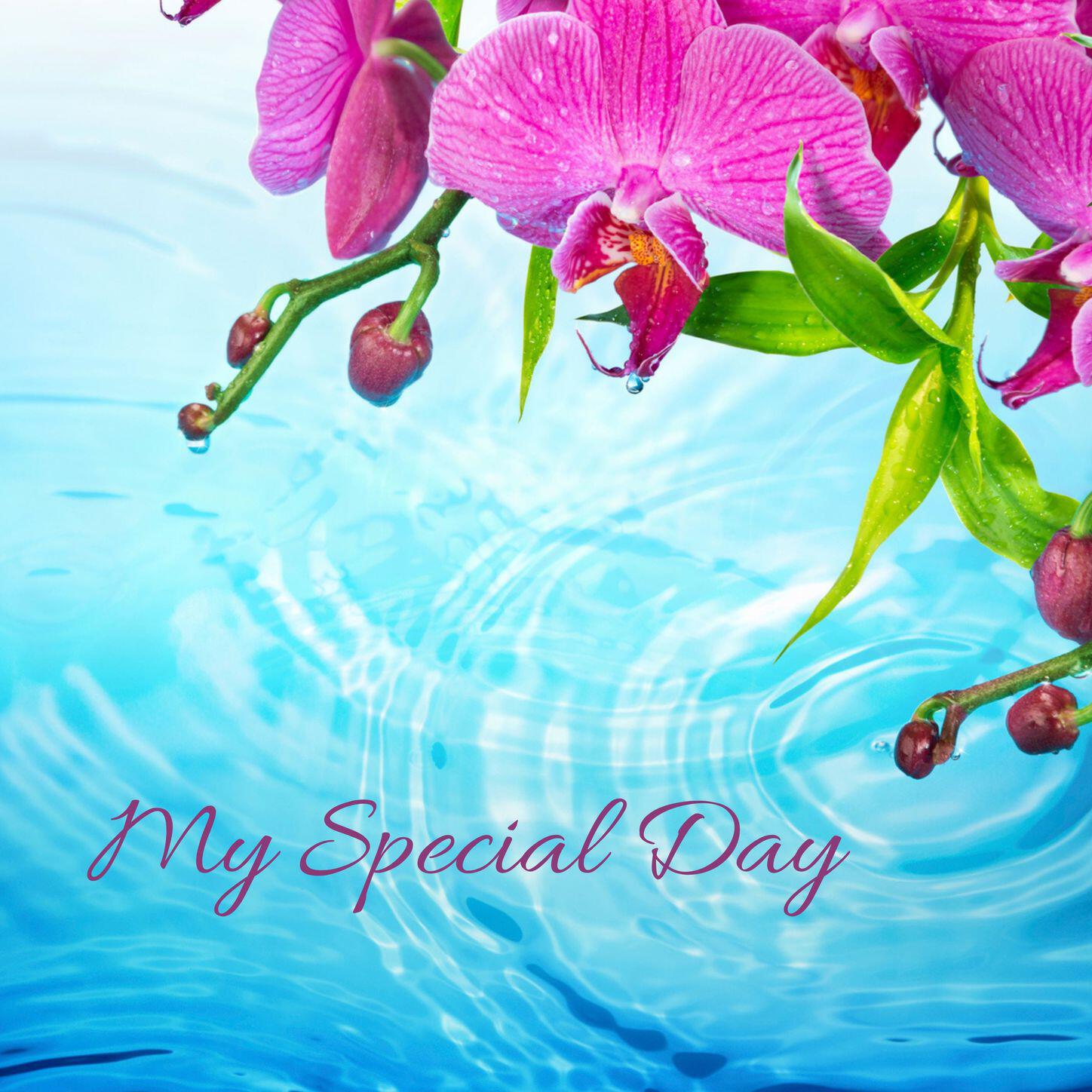 Релиз My Special Day
