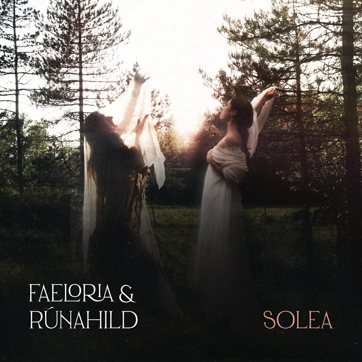 Релиз Solea