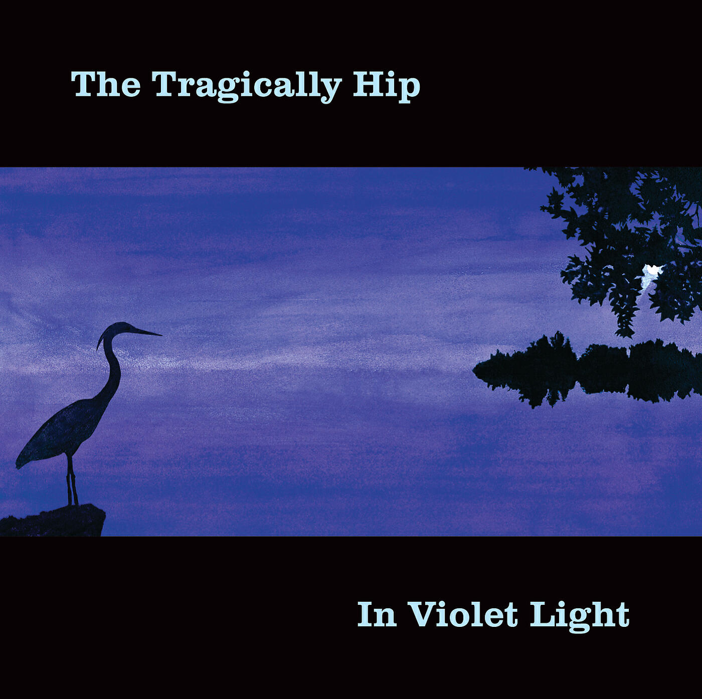 Релиз In Violet Light