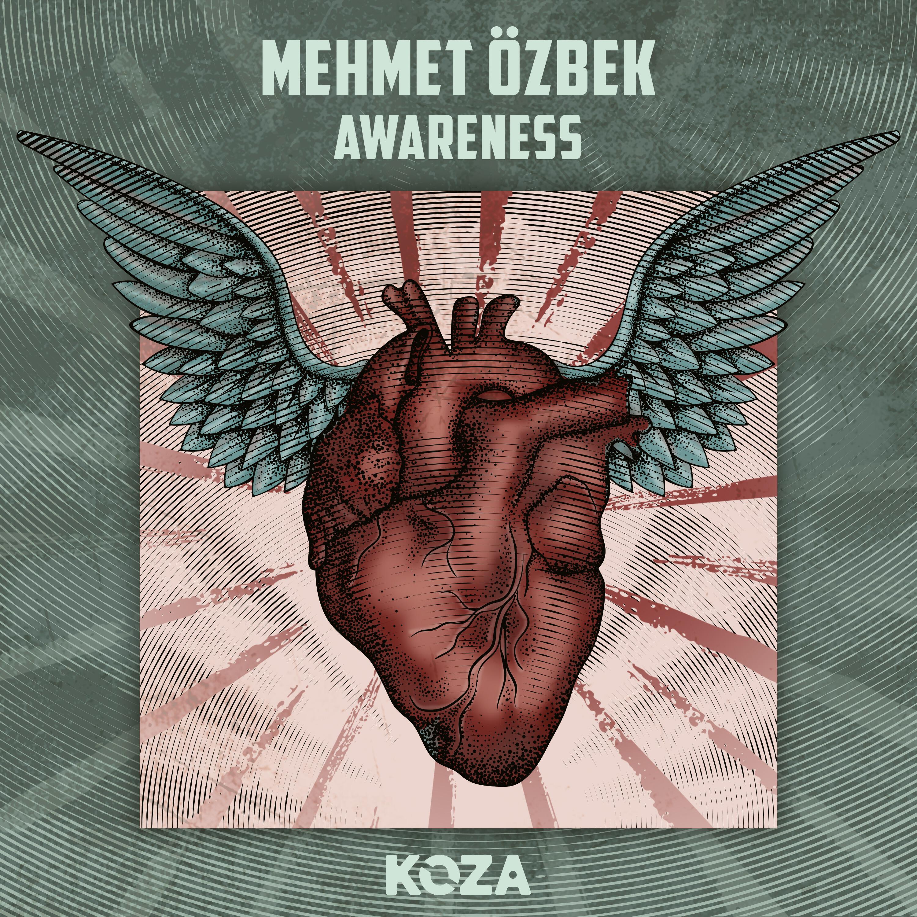 Релиз Awareness