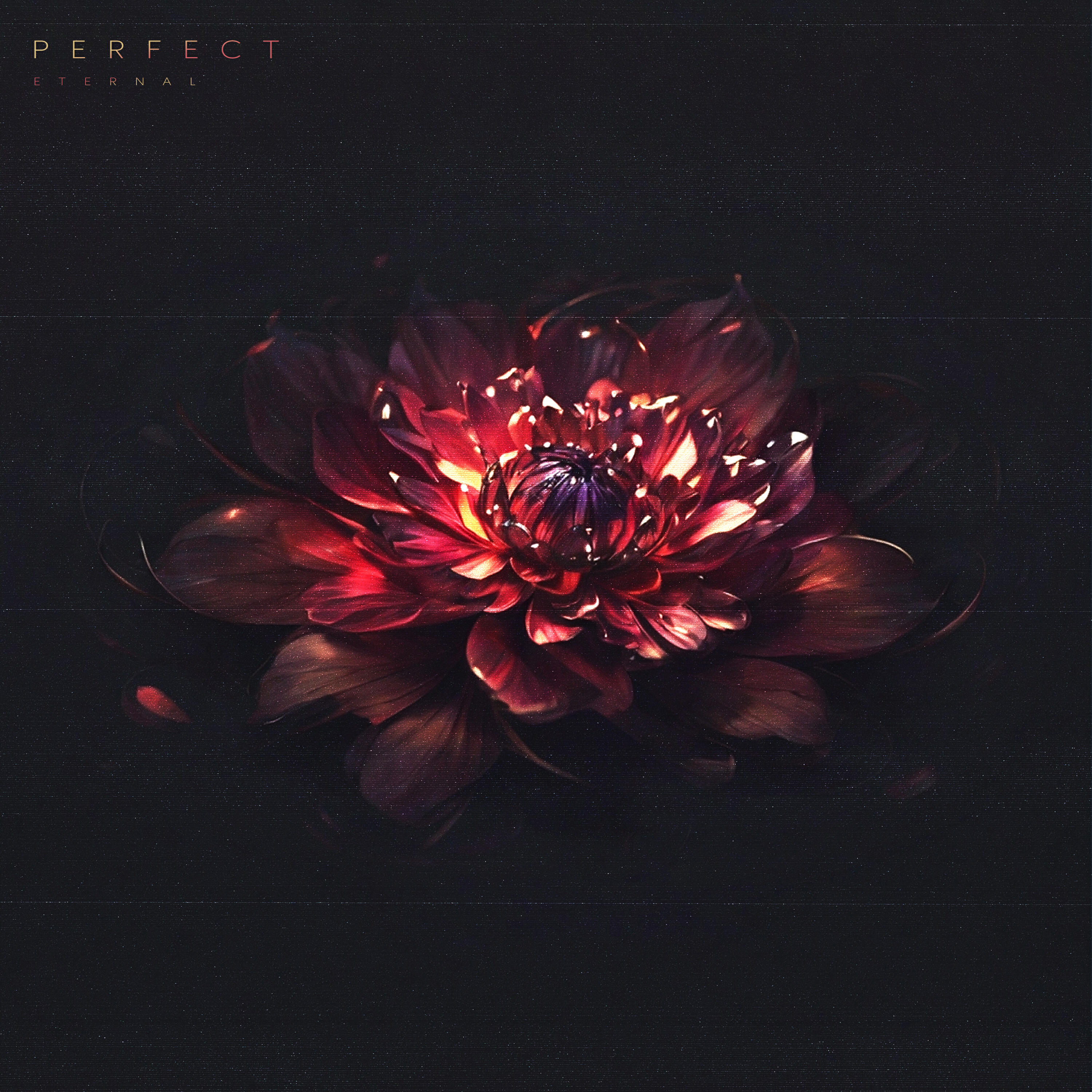 Релиз Perfect