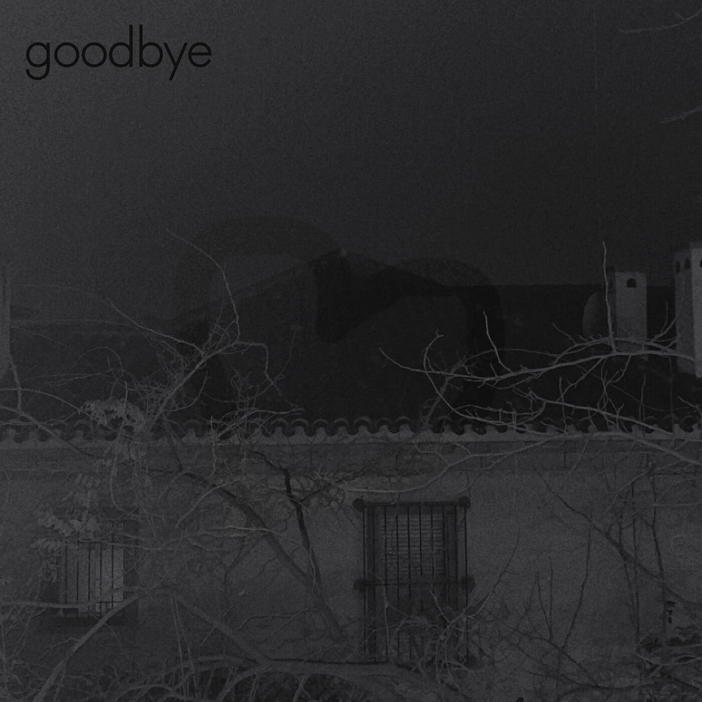 Релиз Goodbye