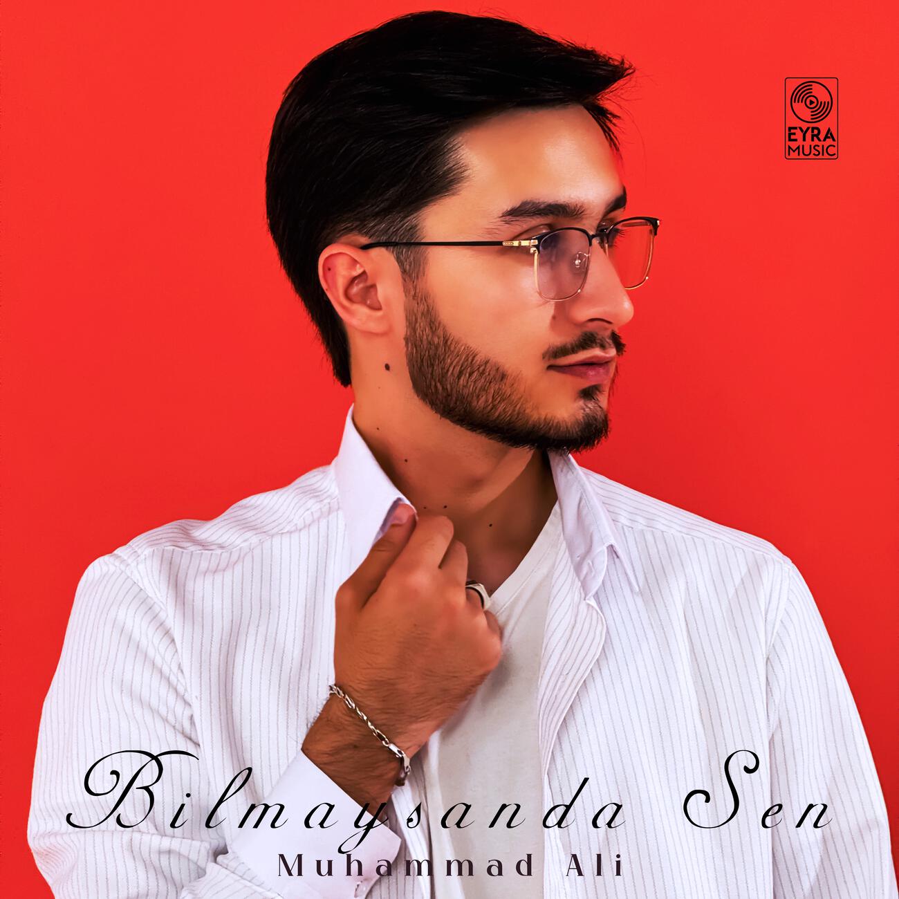Постер альбома Bilmaysanda Sen