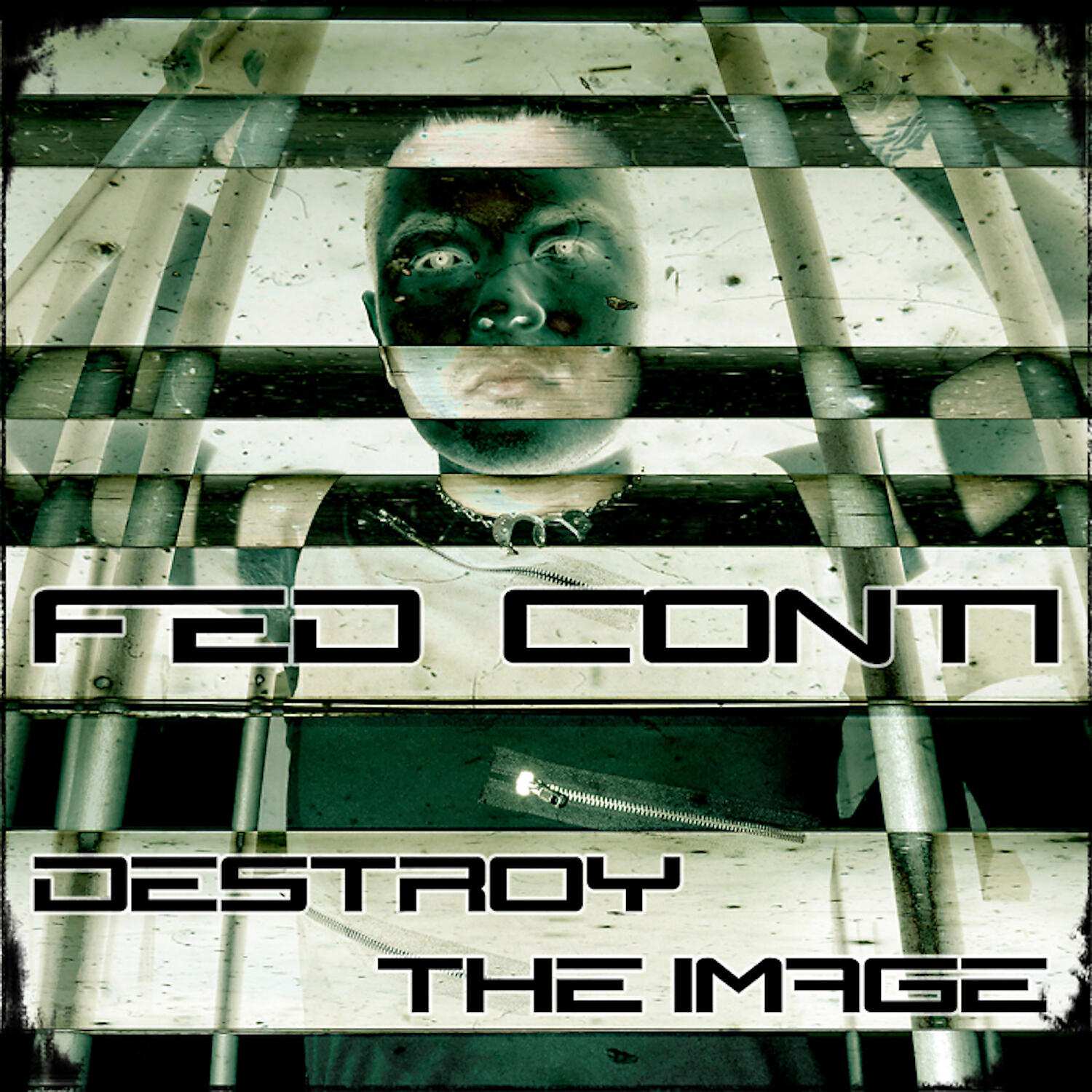 Релиз Destroy The Image