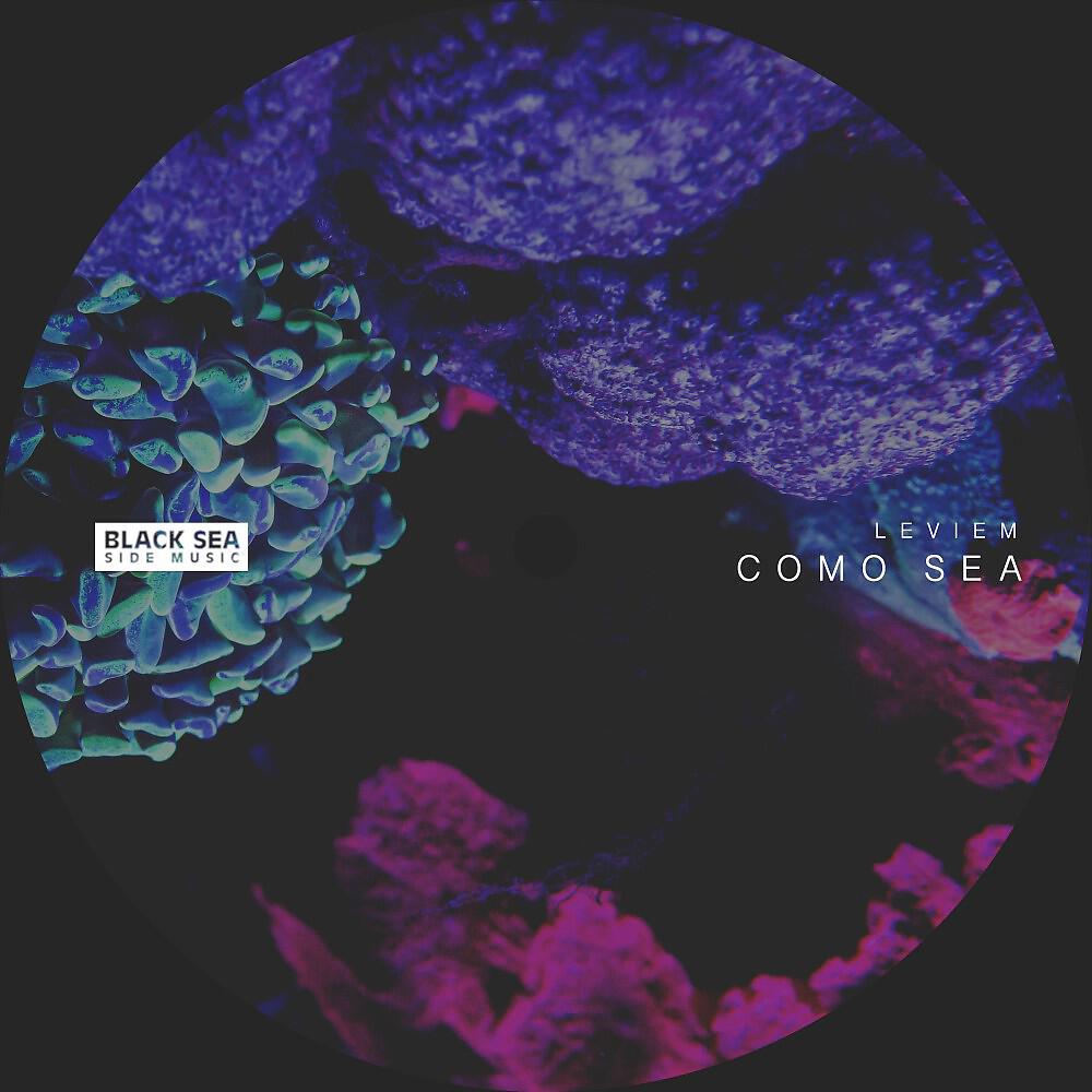 Релиз Como Sea
